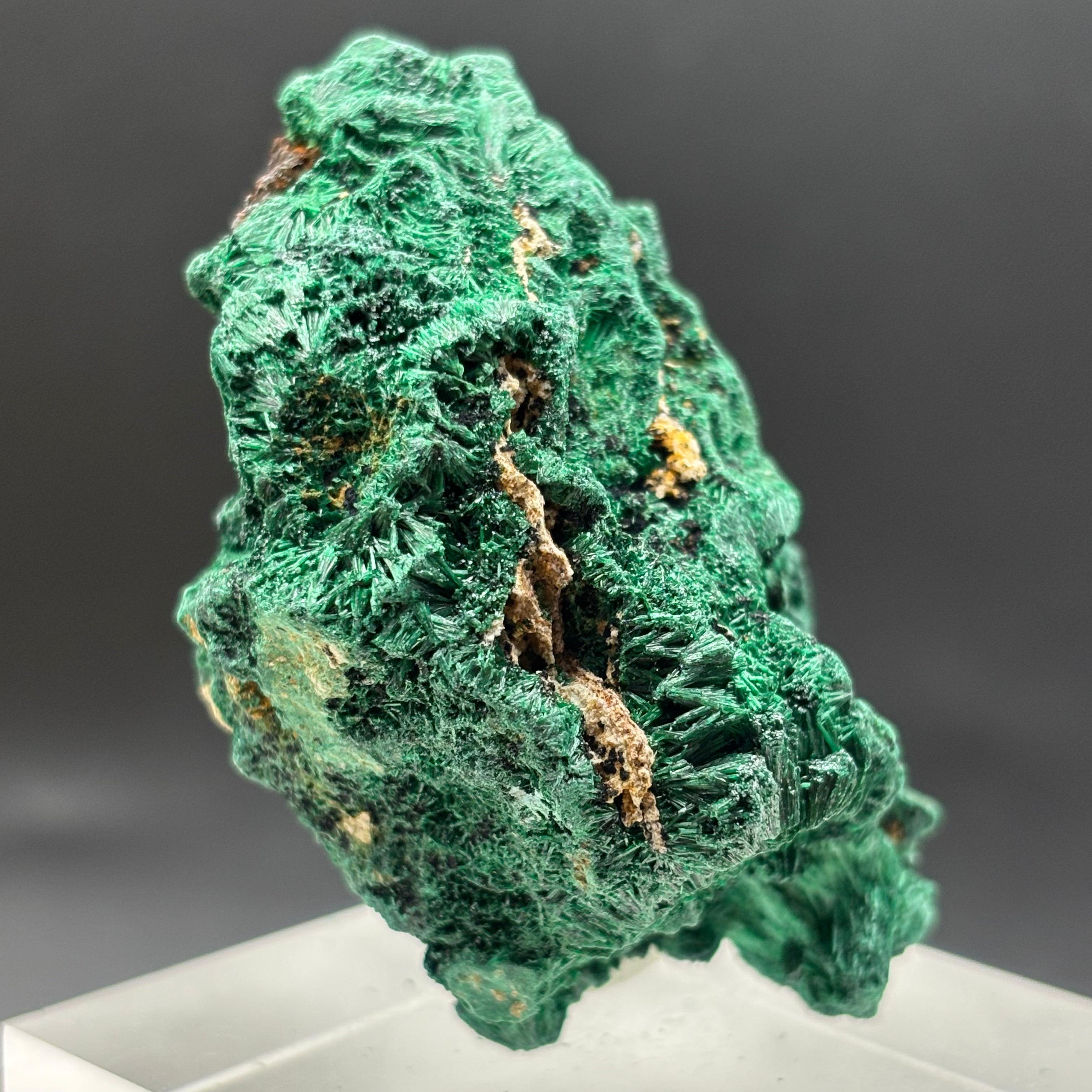 Emperor Malachite - 174