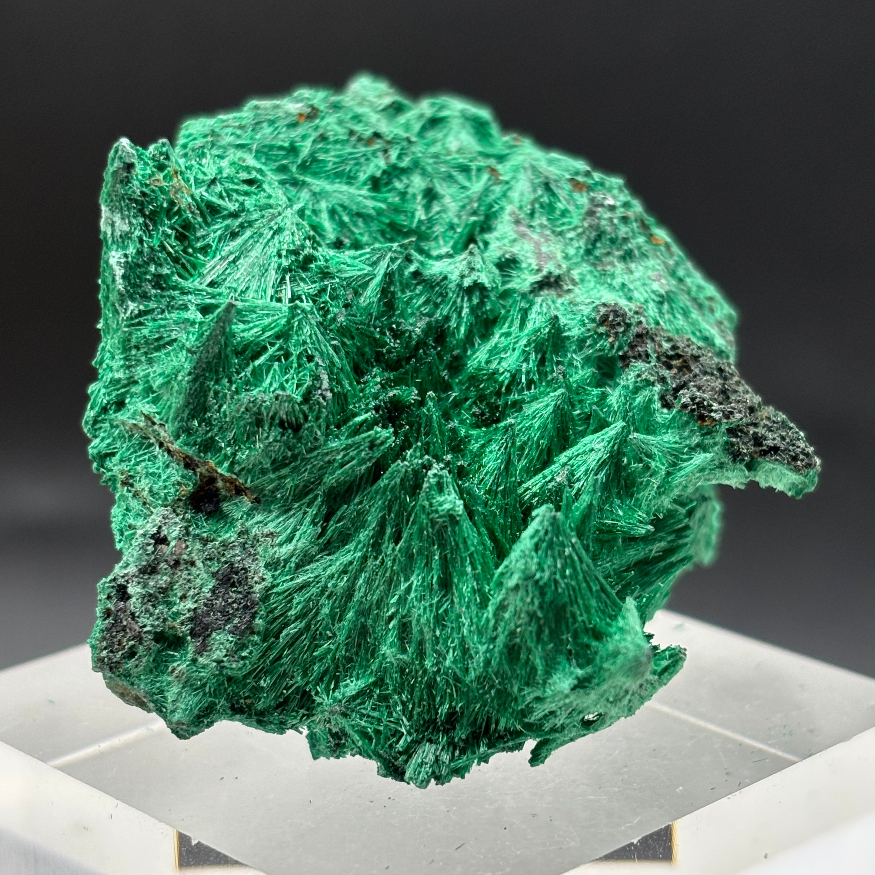 Emperor Malachite - 175