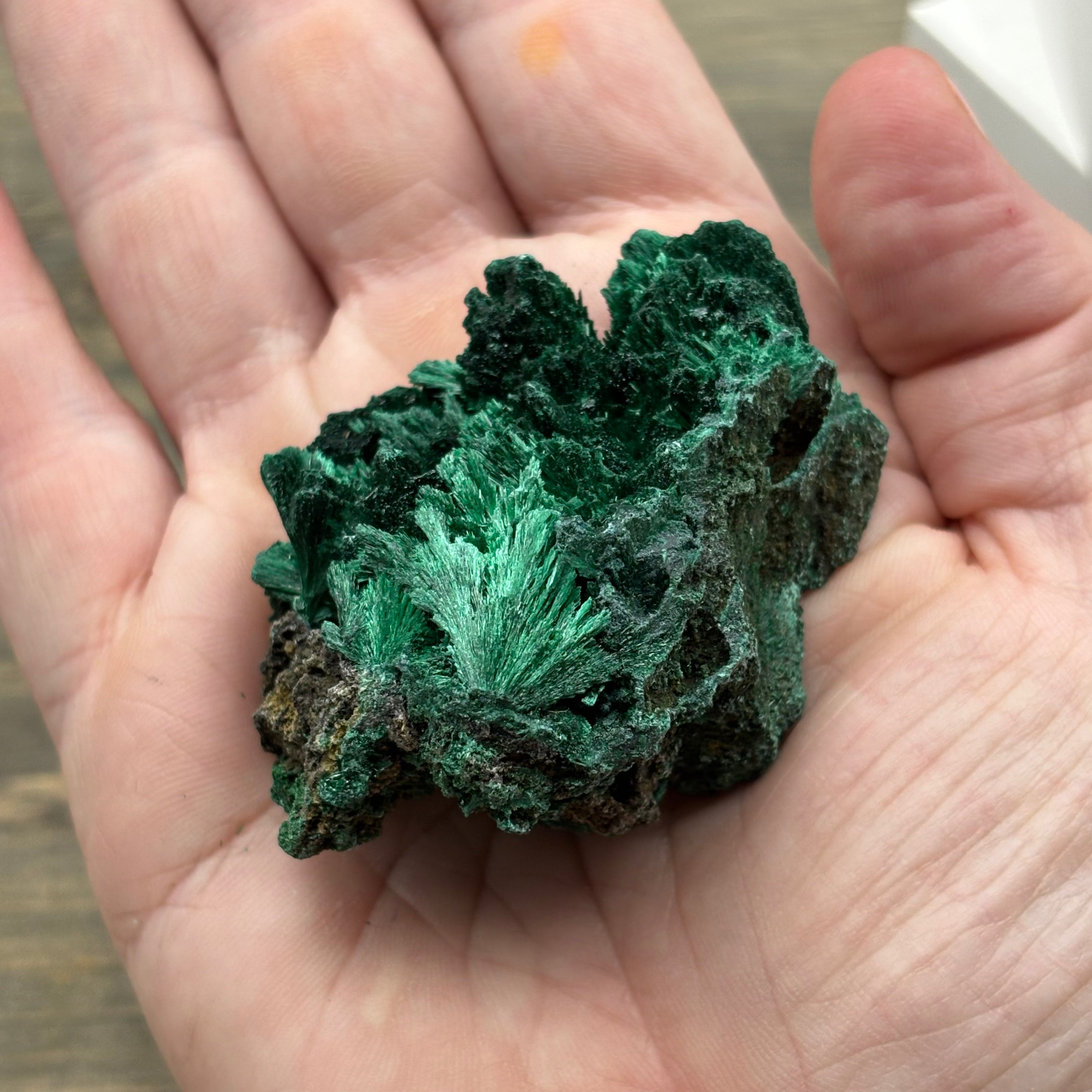 Emperor Malachite - 176