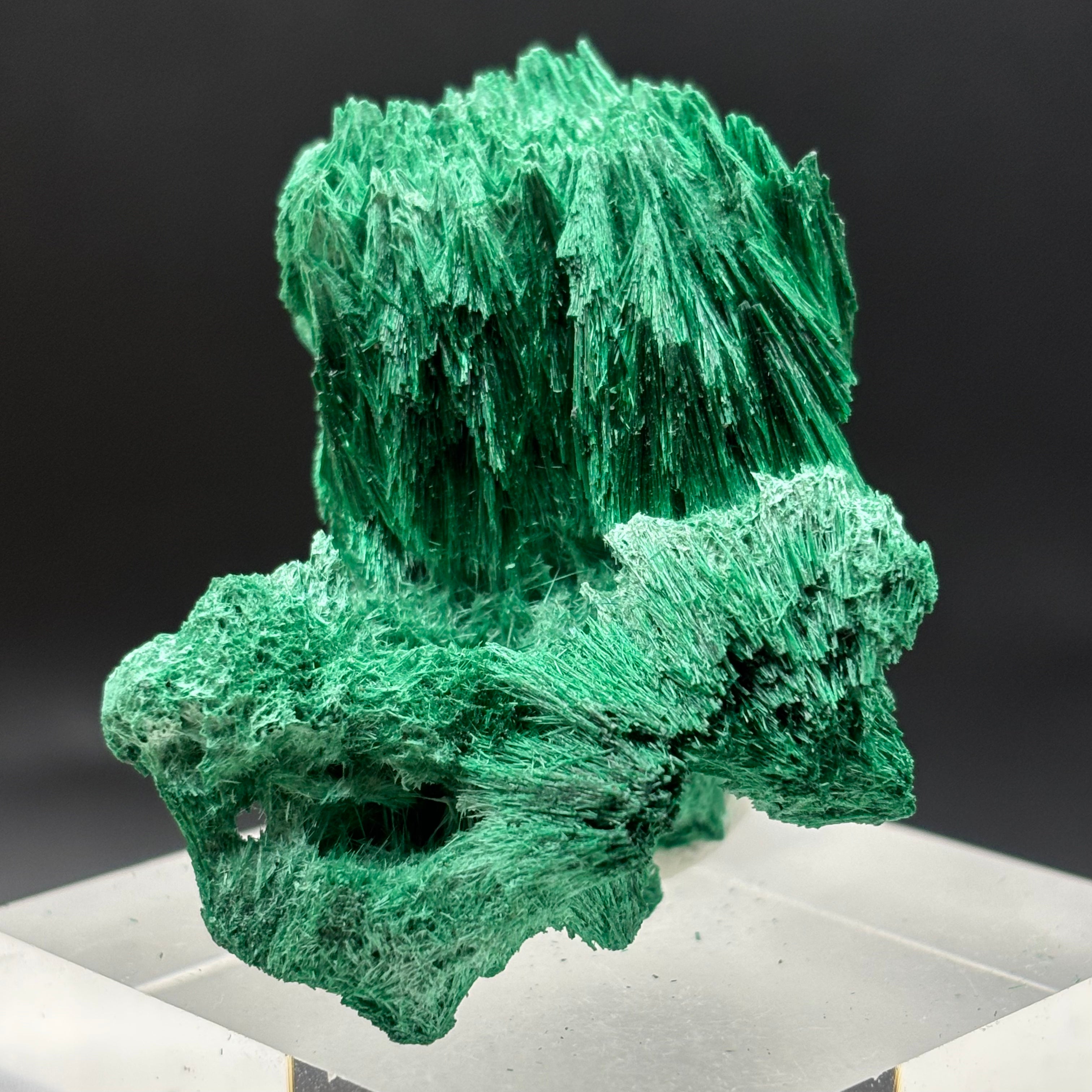 Emperor Malachite - 177