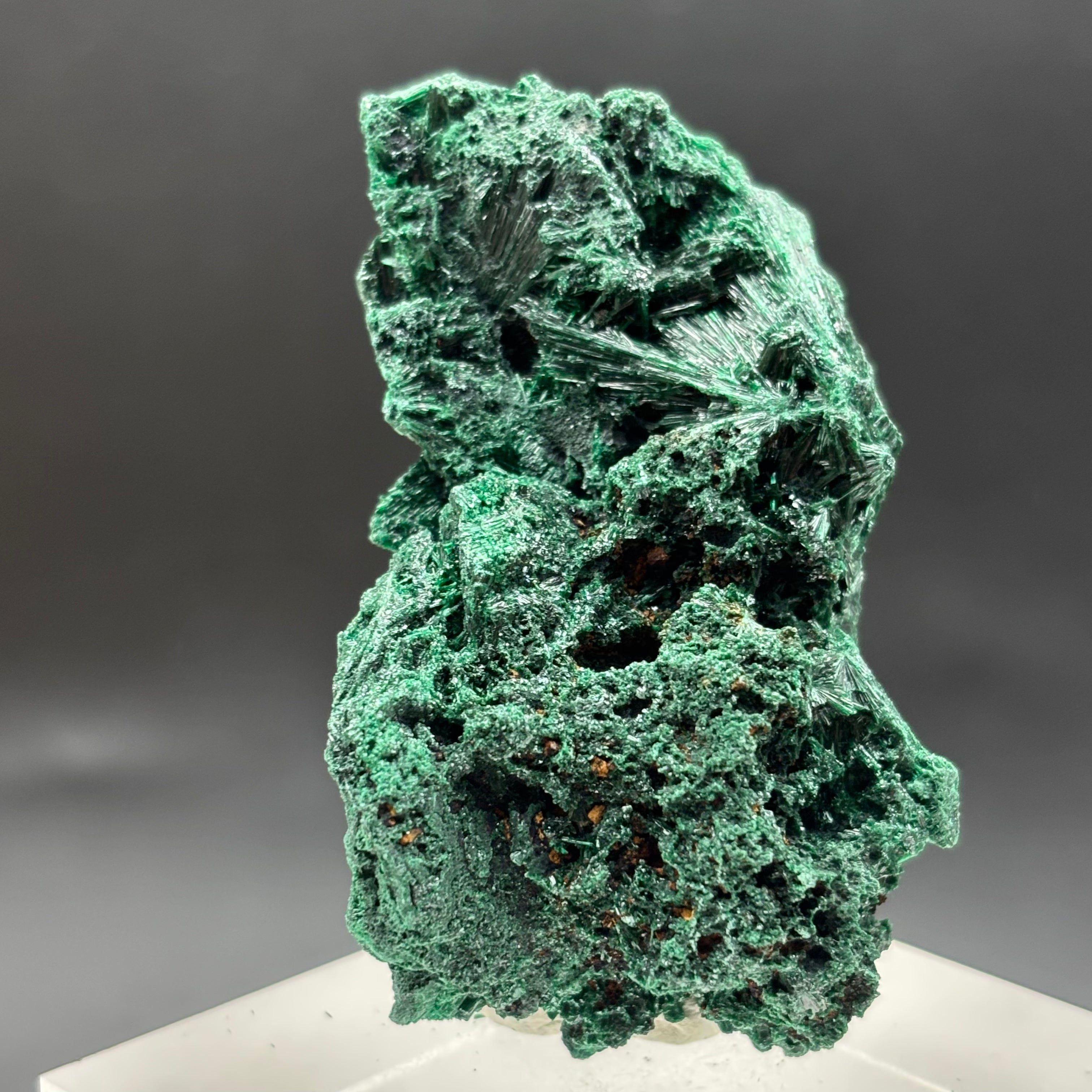 Emperor Malachite - 178