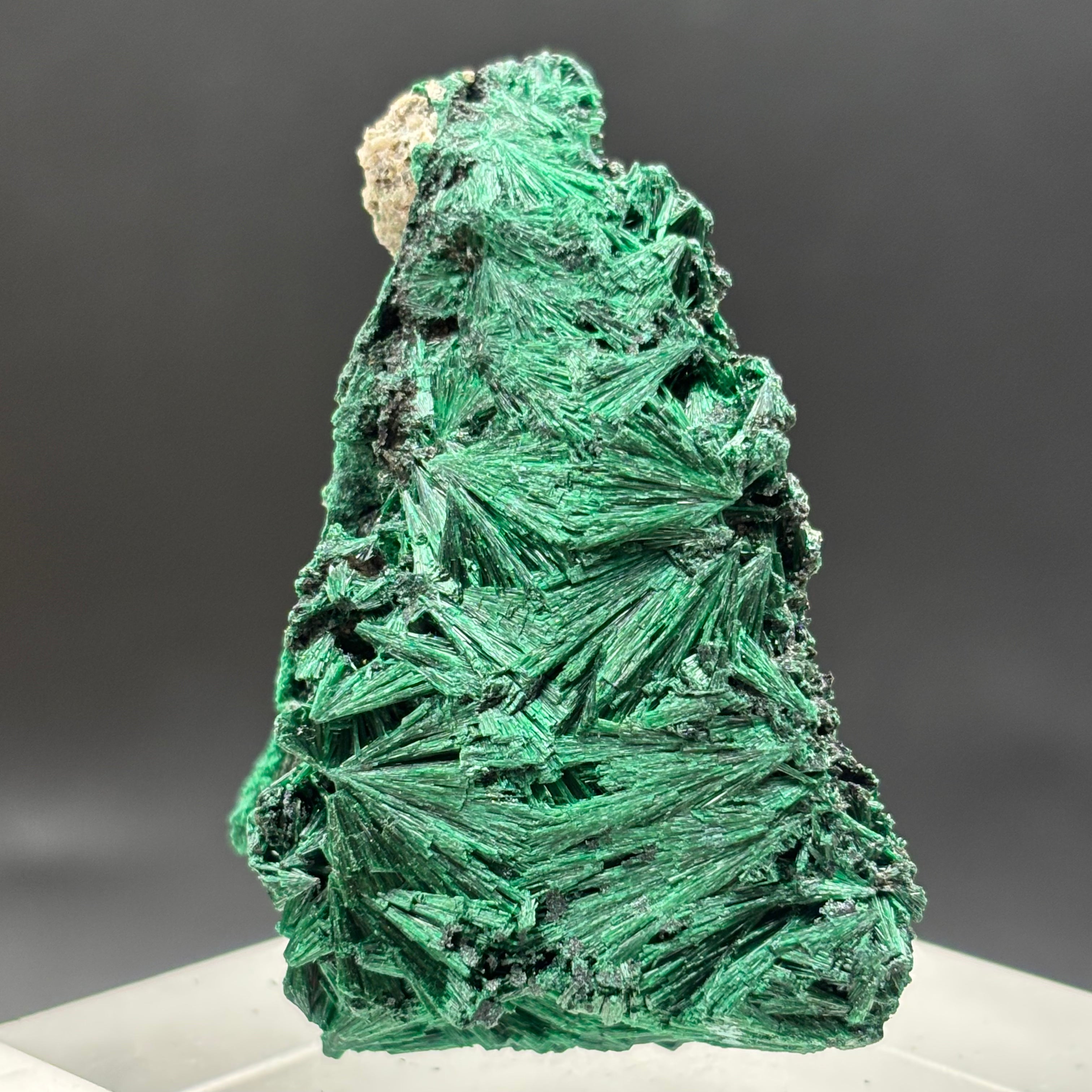 Emperor Malachite - 179