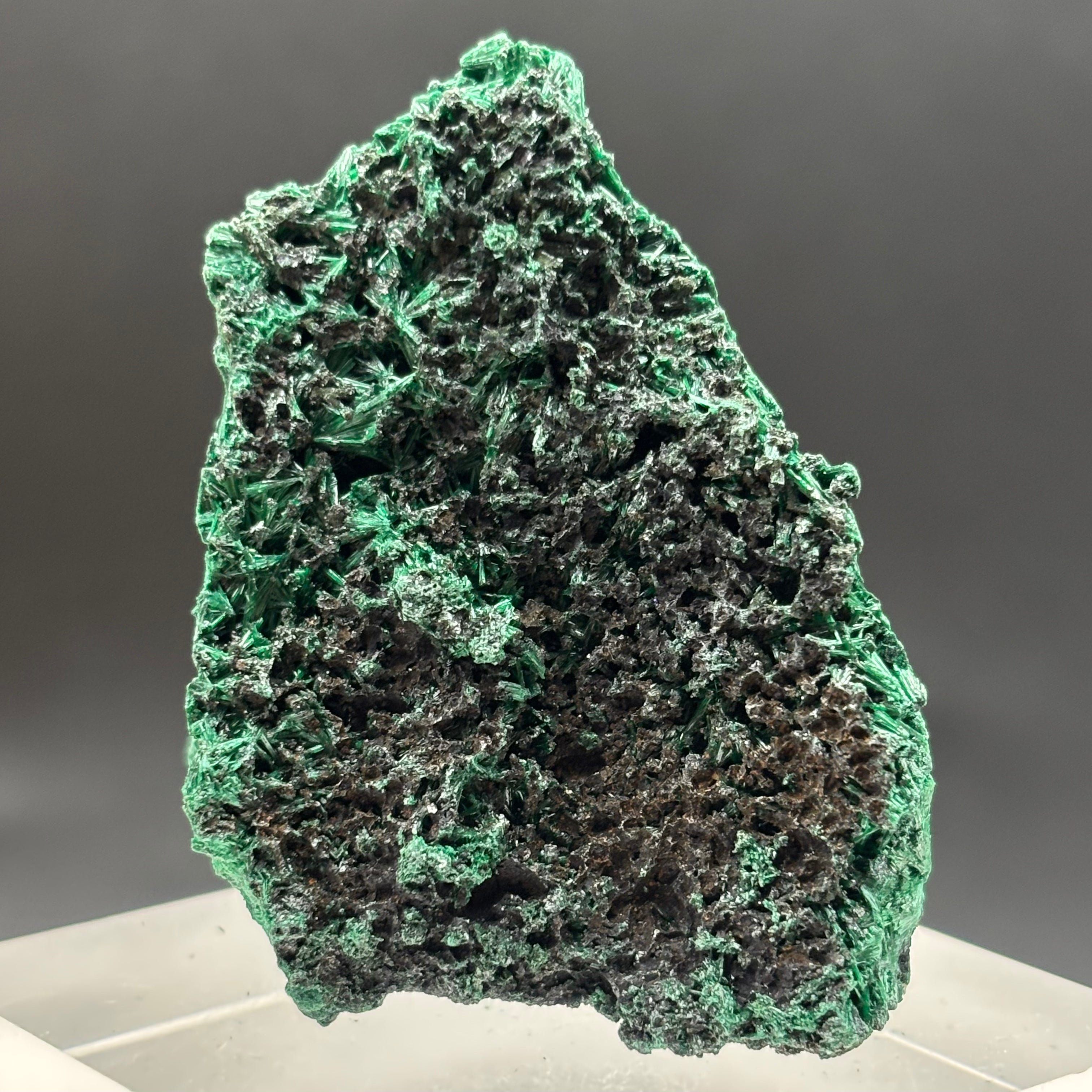 Emperor Malachite - 179