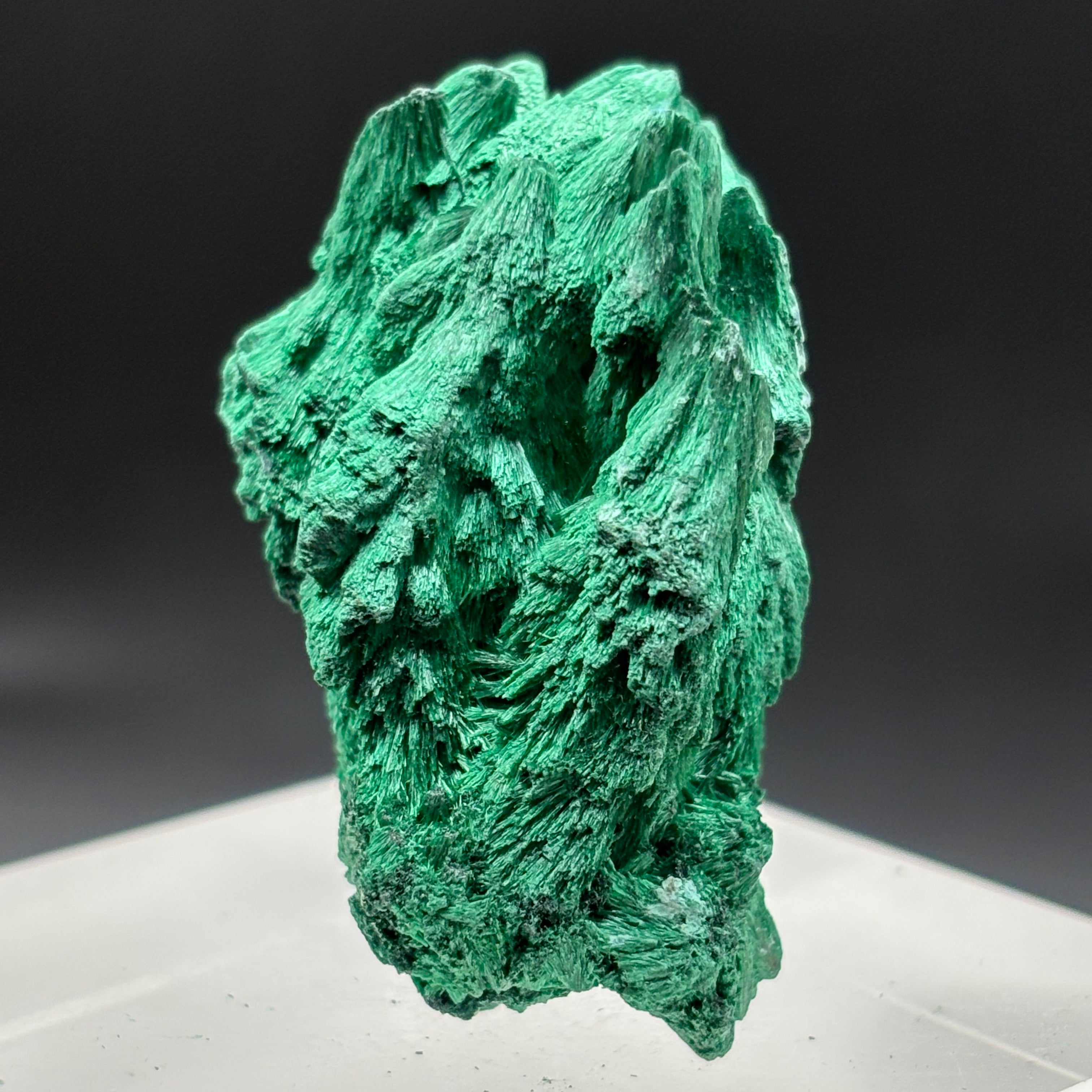 Emperor Malachite - 181