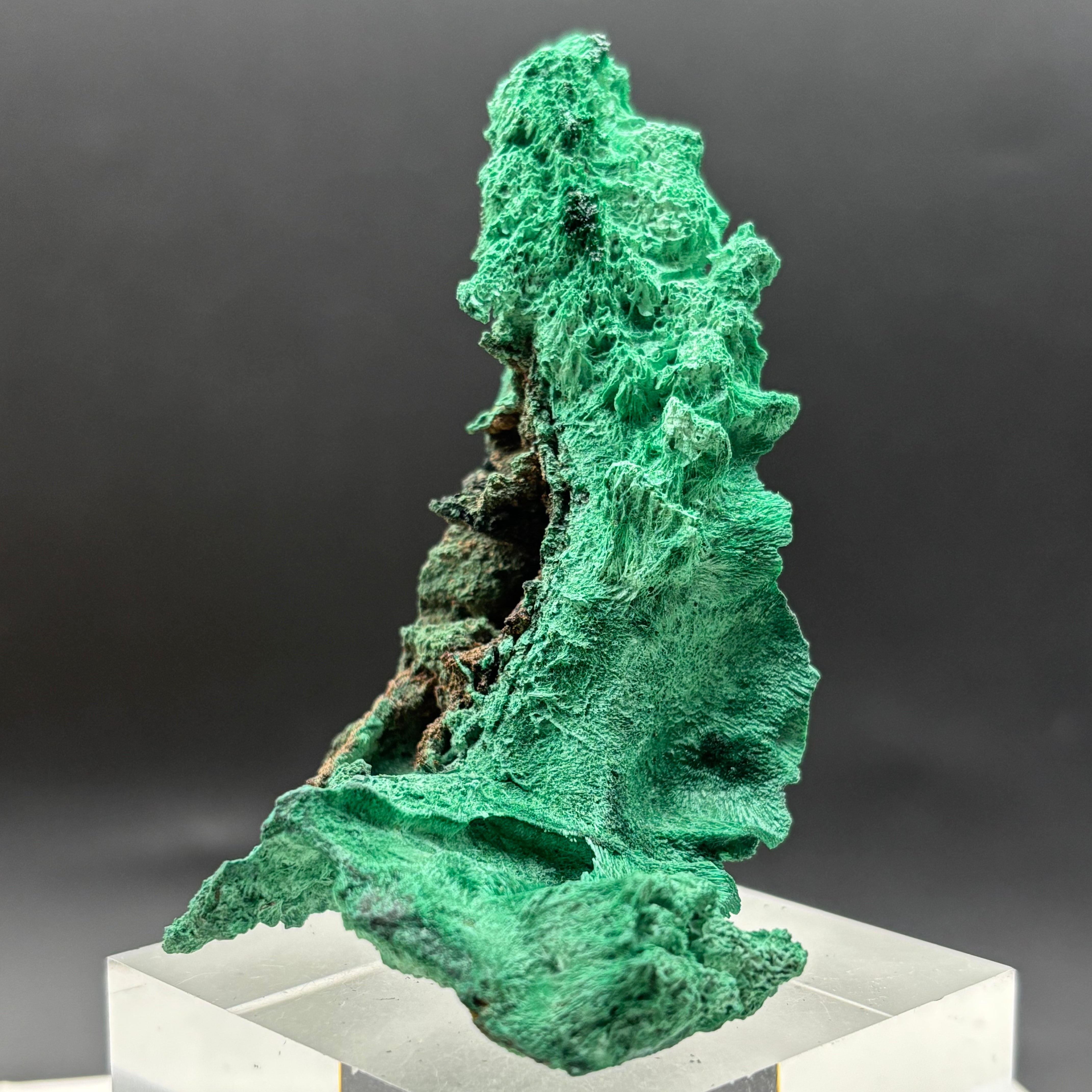 Emperor Malachite - 182
