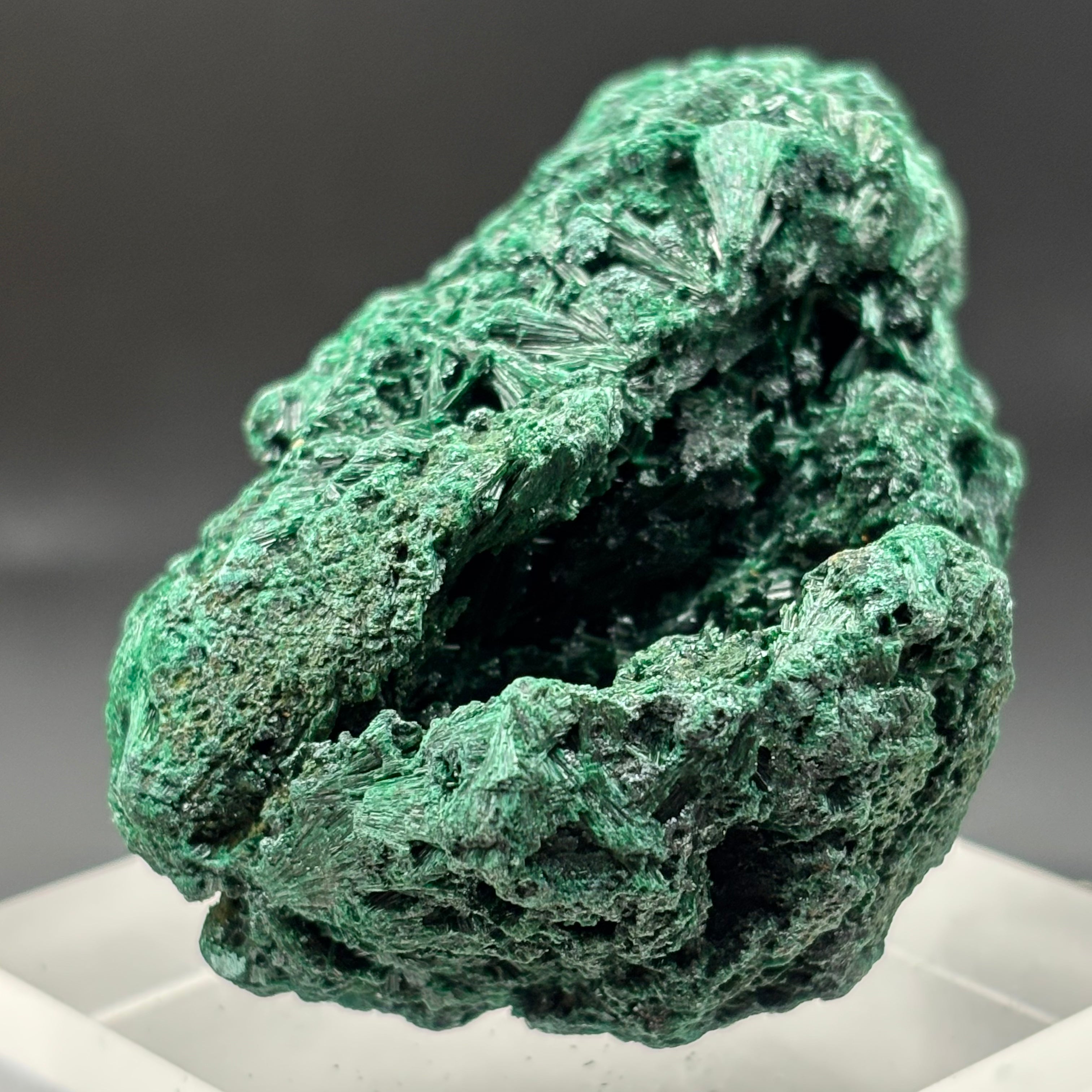 Emperor Malachite - 183