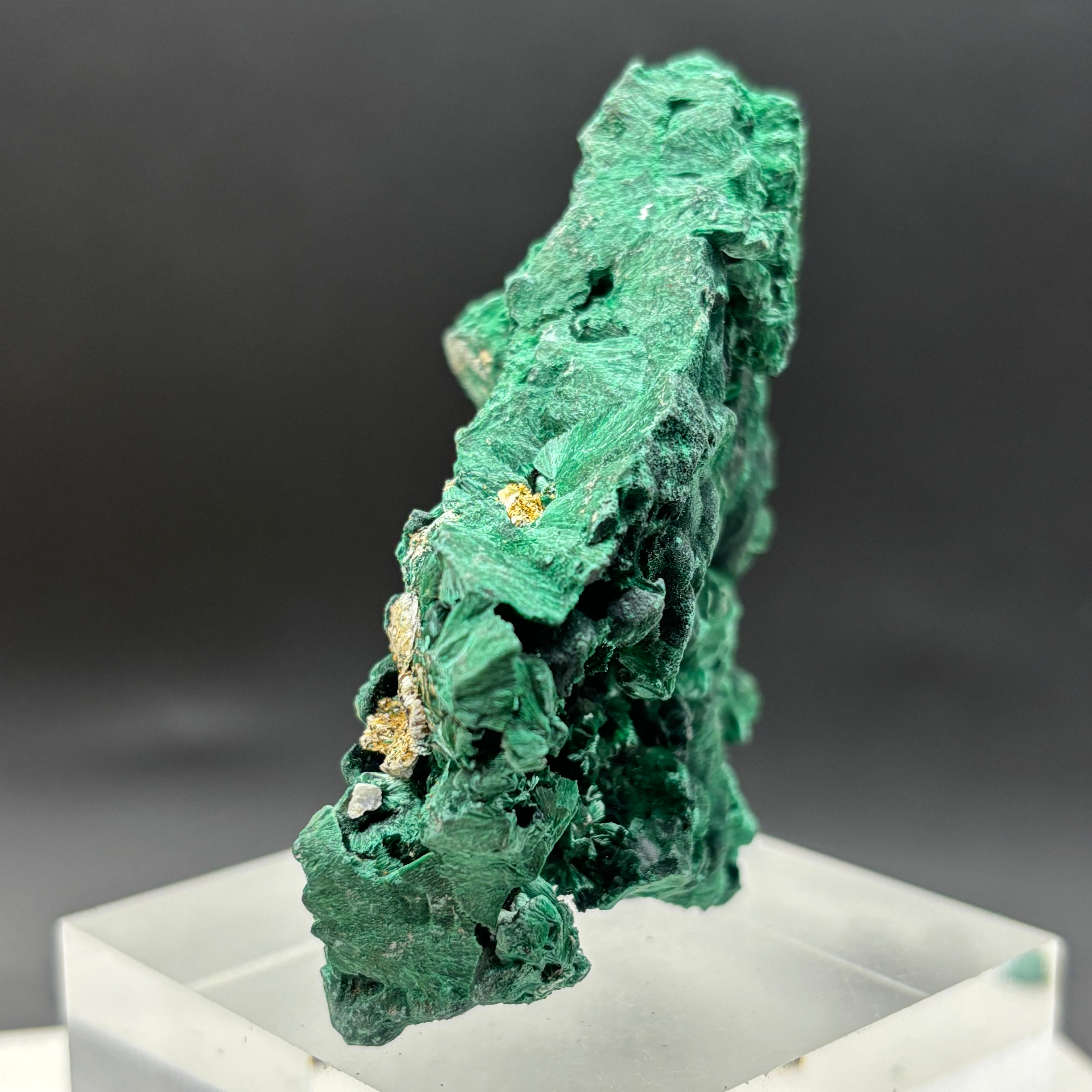 Emperor Malachite - 184