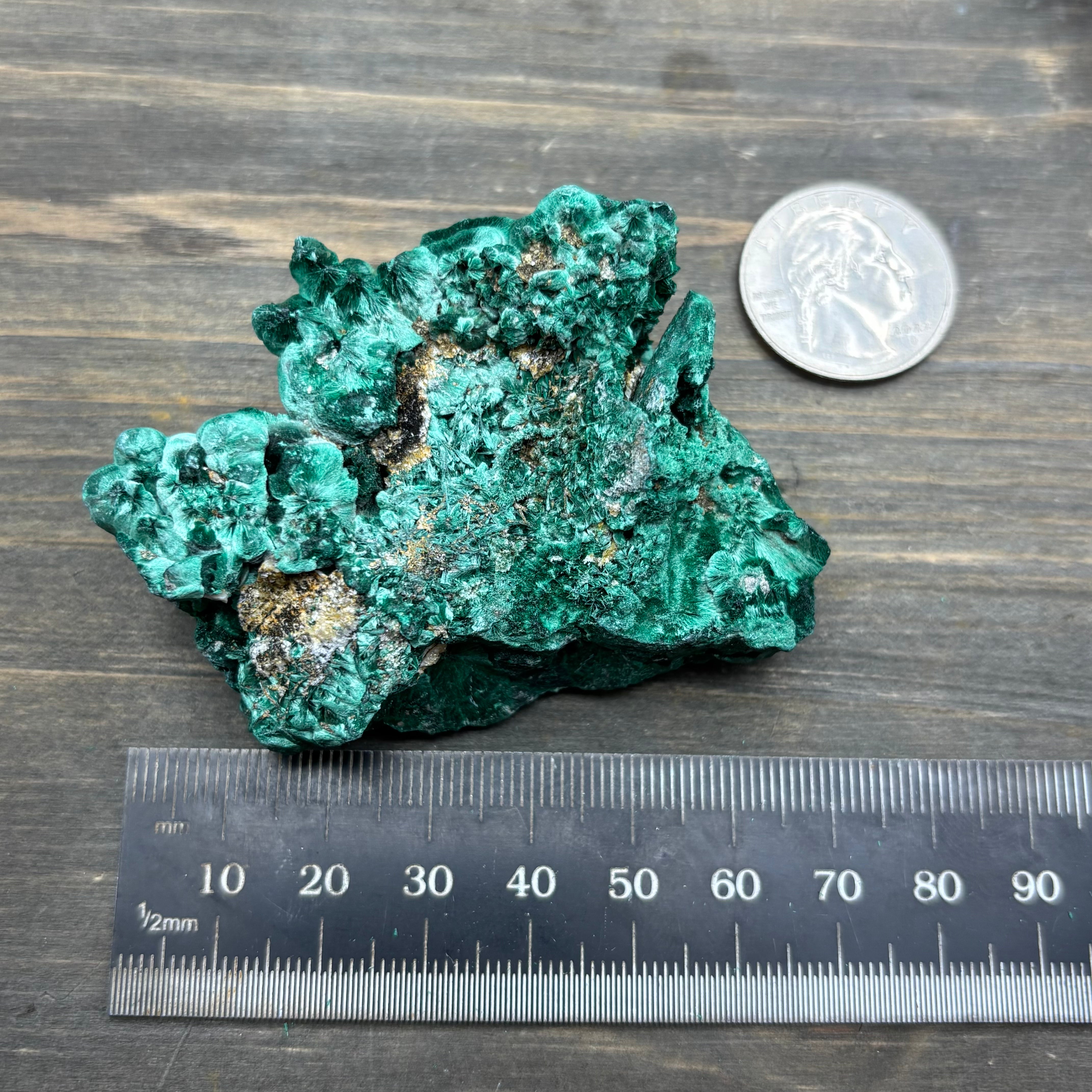 Emperor Malachite - 184