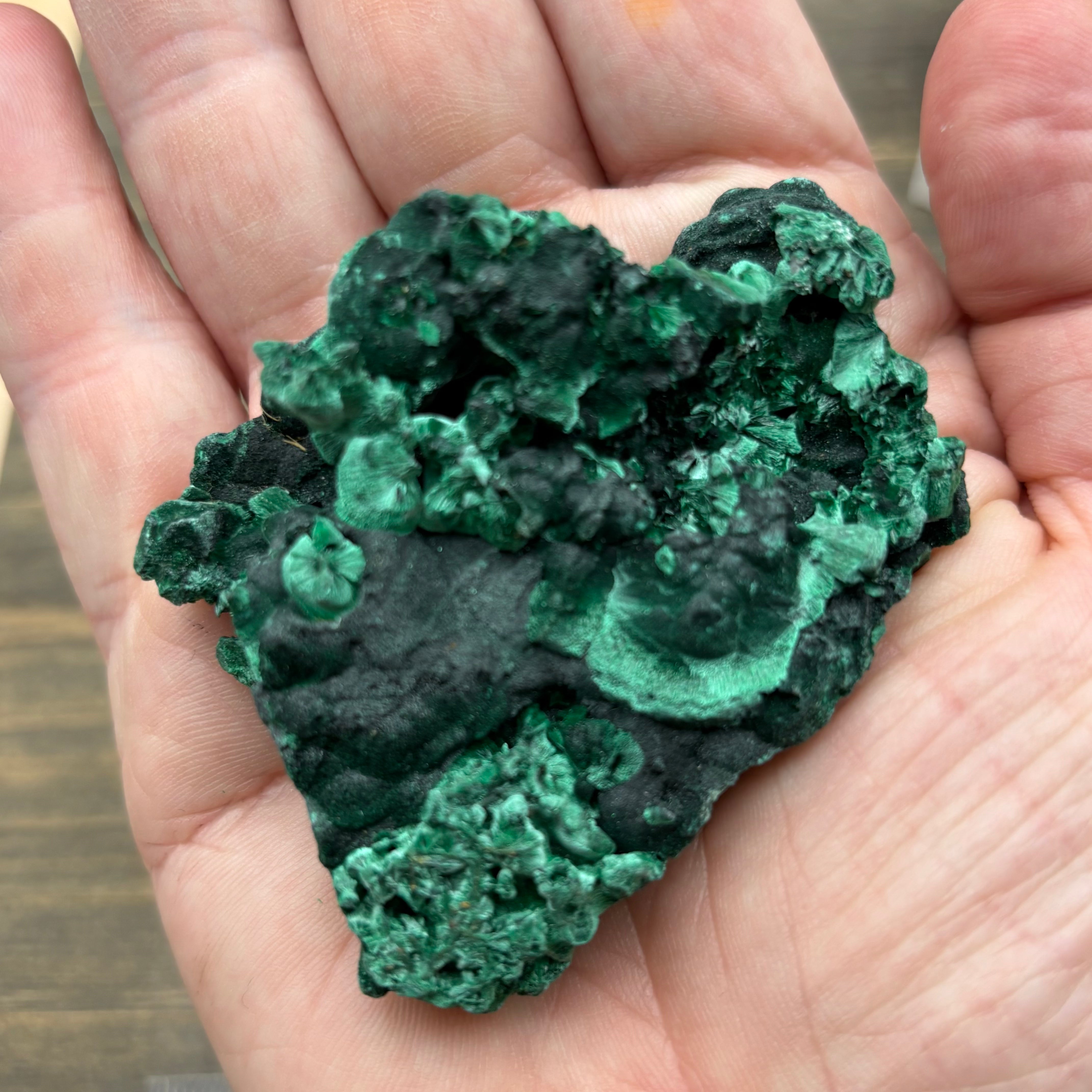 Emperor Malachite - 184