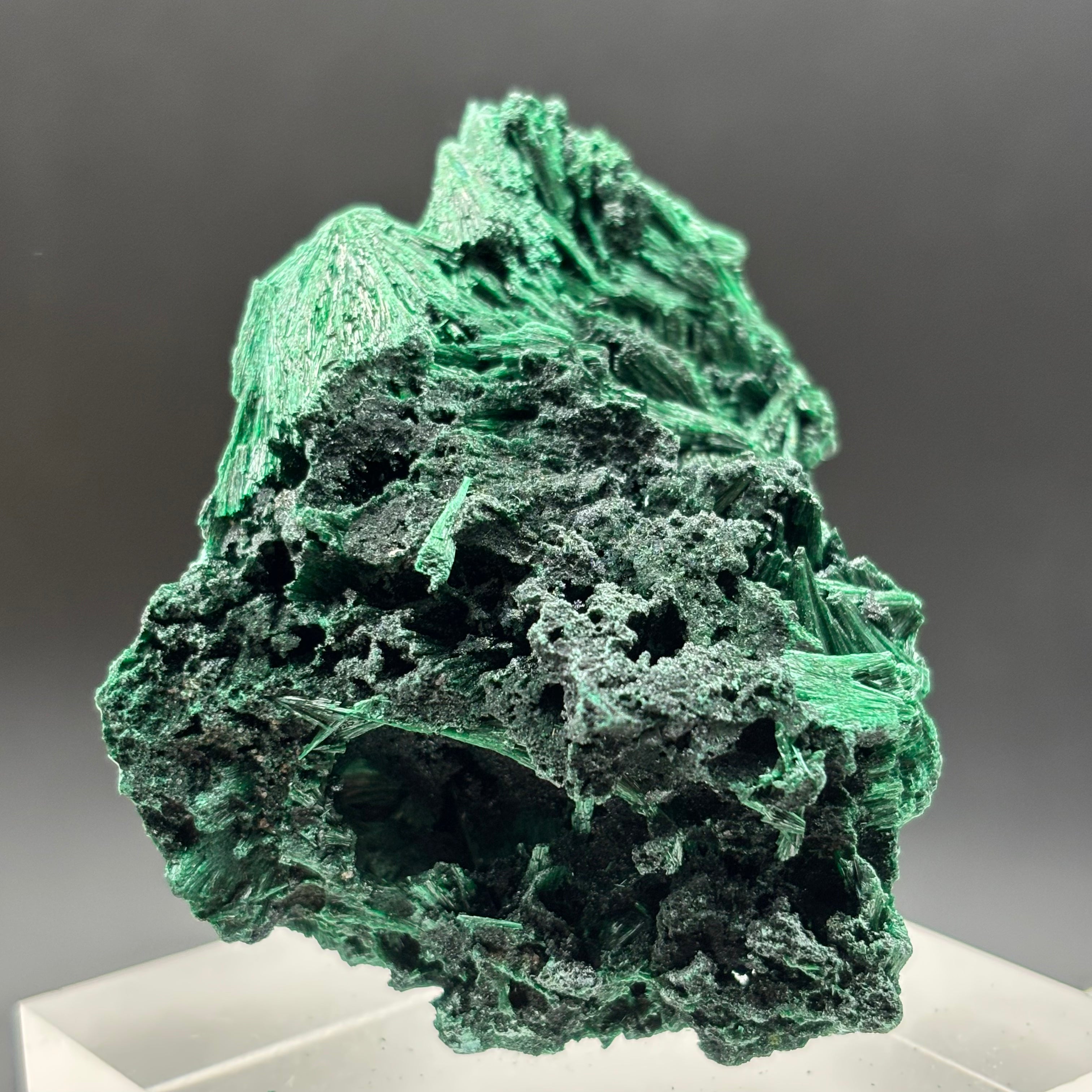 Emperor Malachite - 185