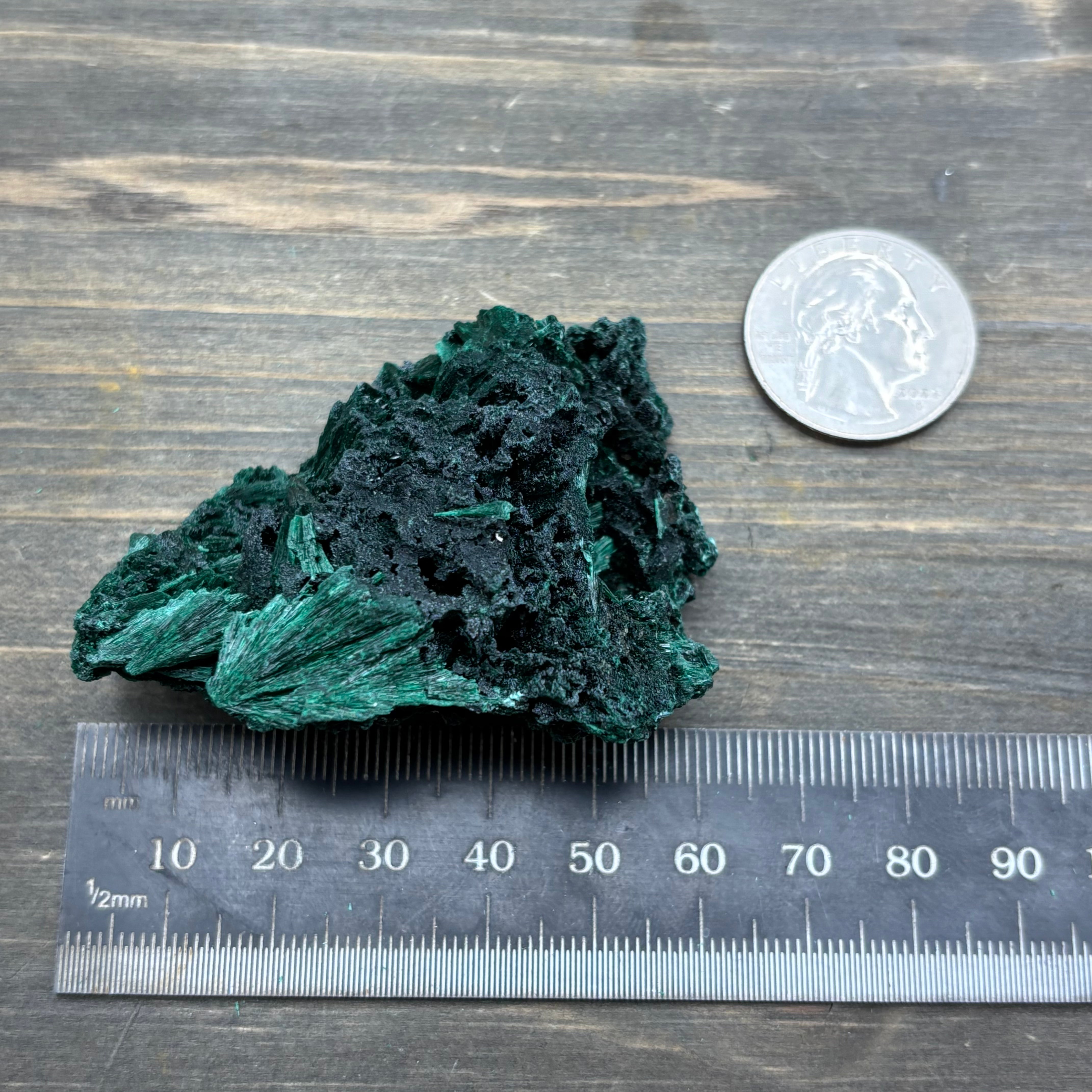 Emperor Malachite - 185