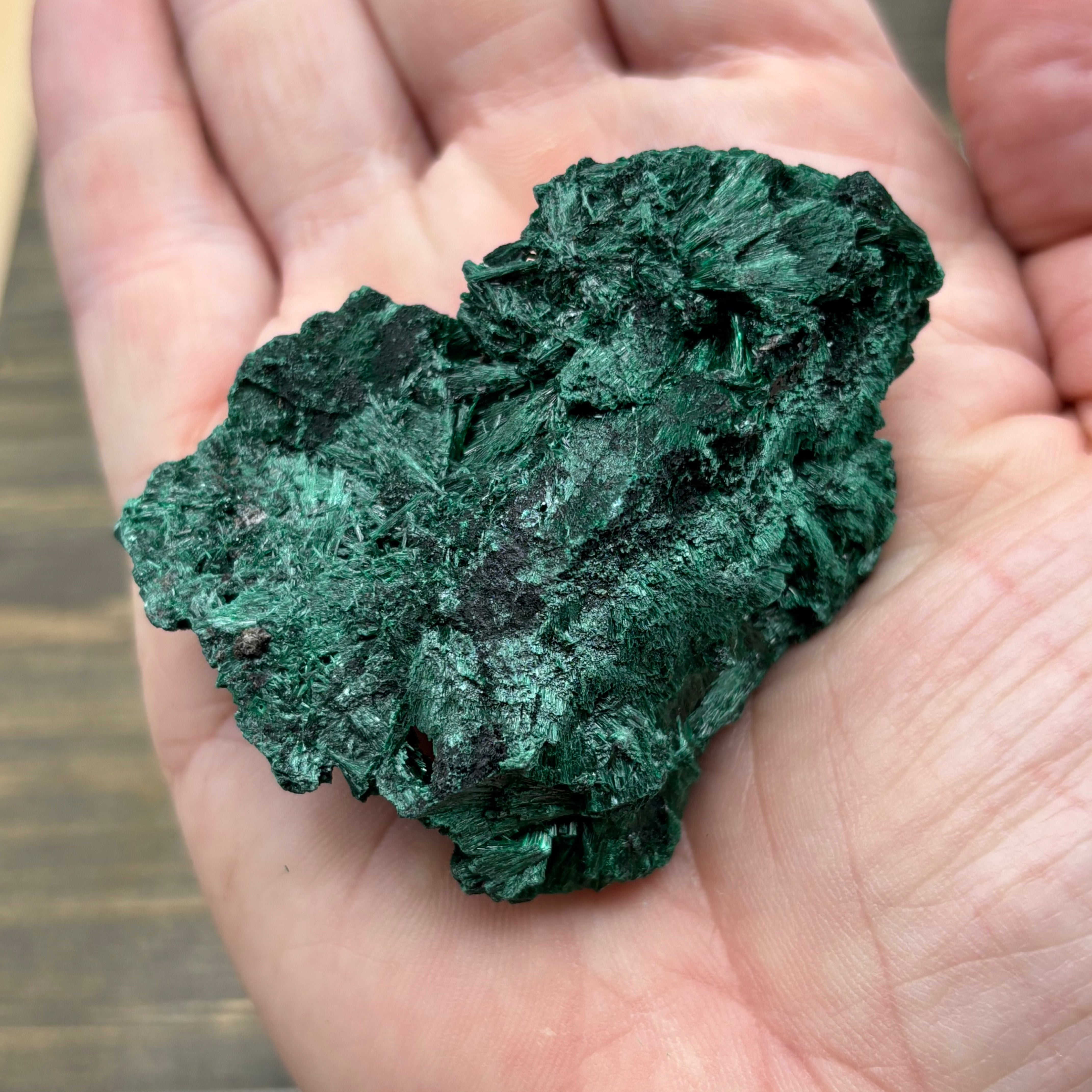 Emperor Malachite - 185