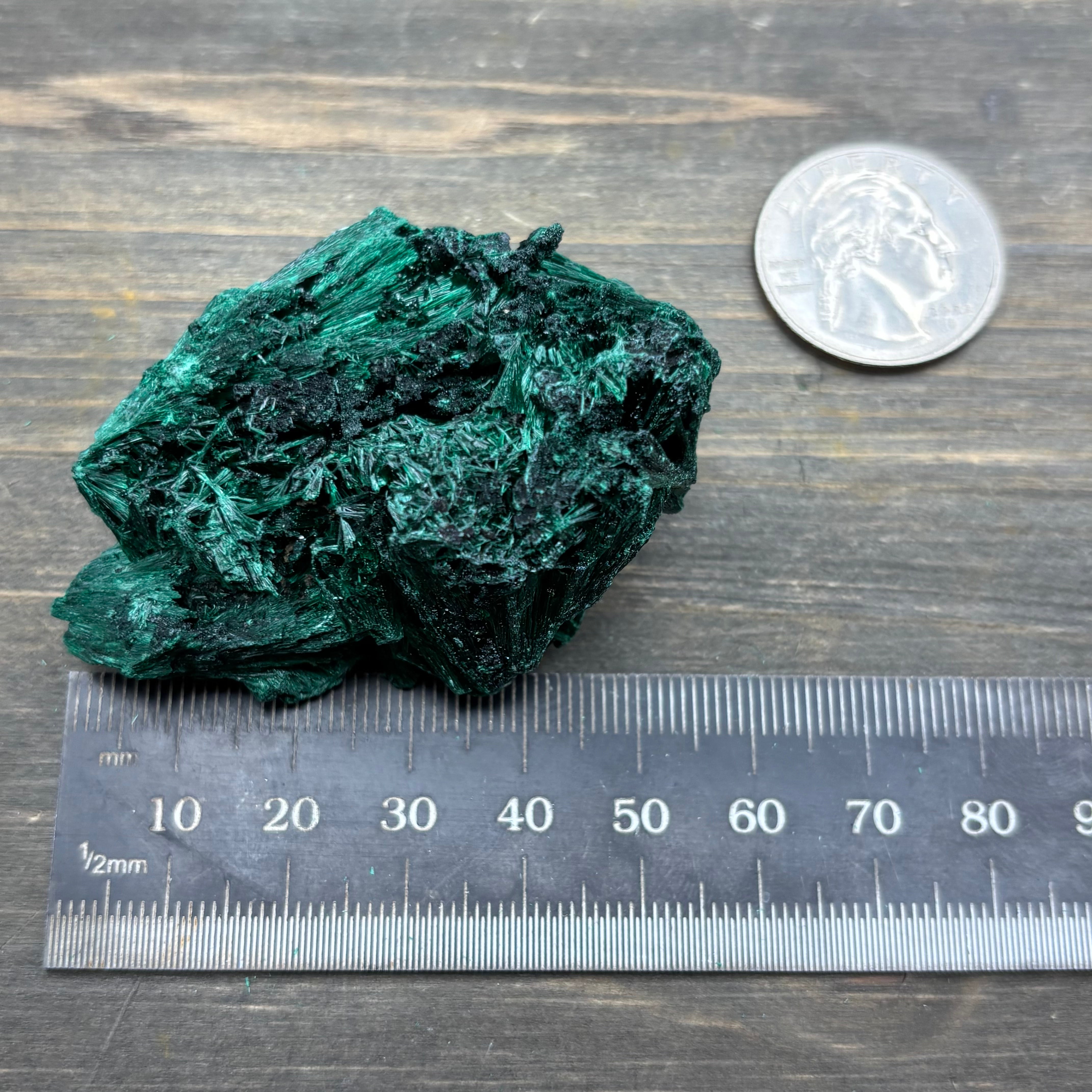 Emperor Malachite - 186