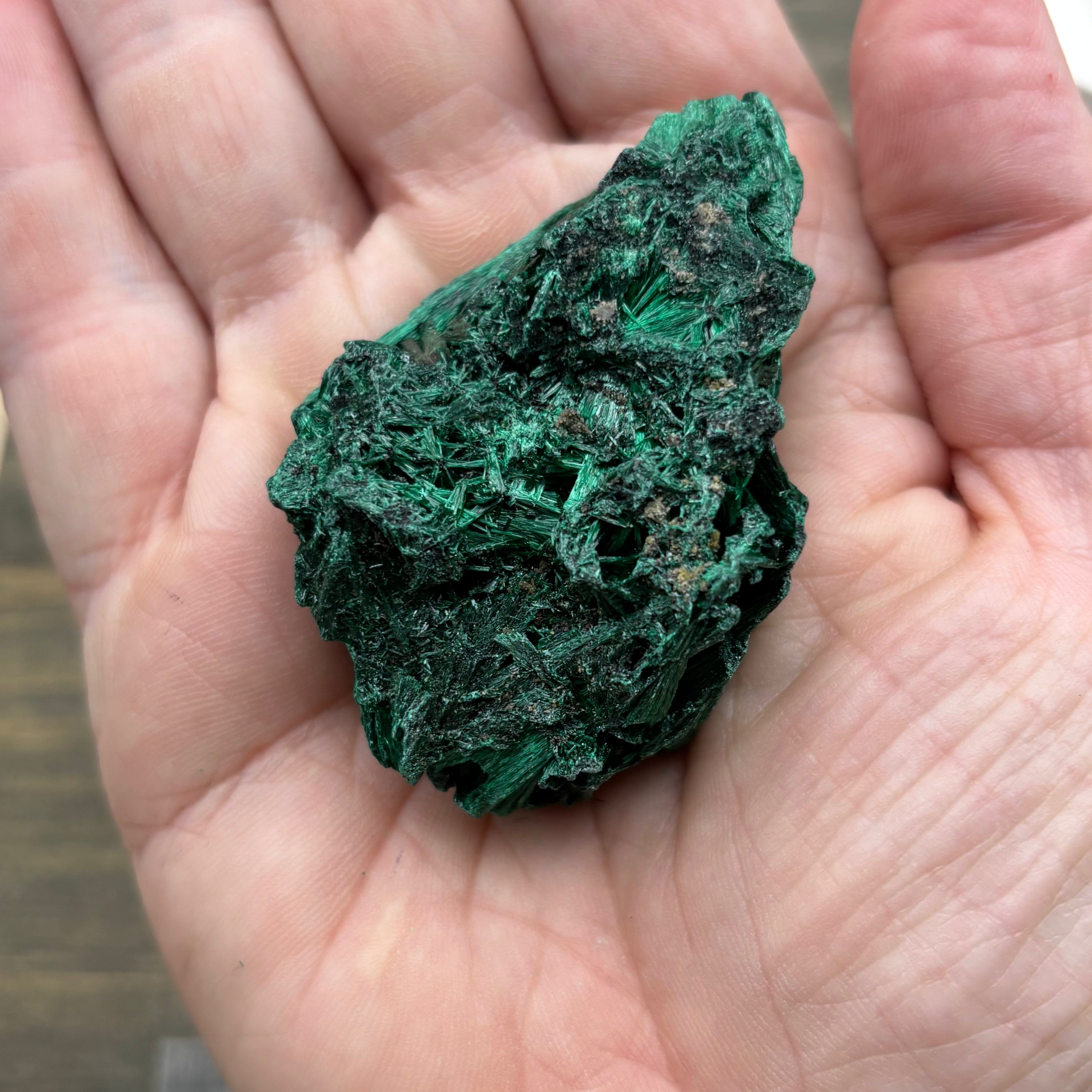 Emperor Malachite - 186