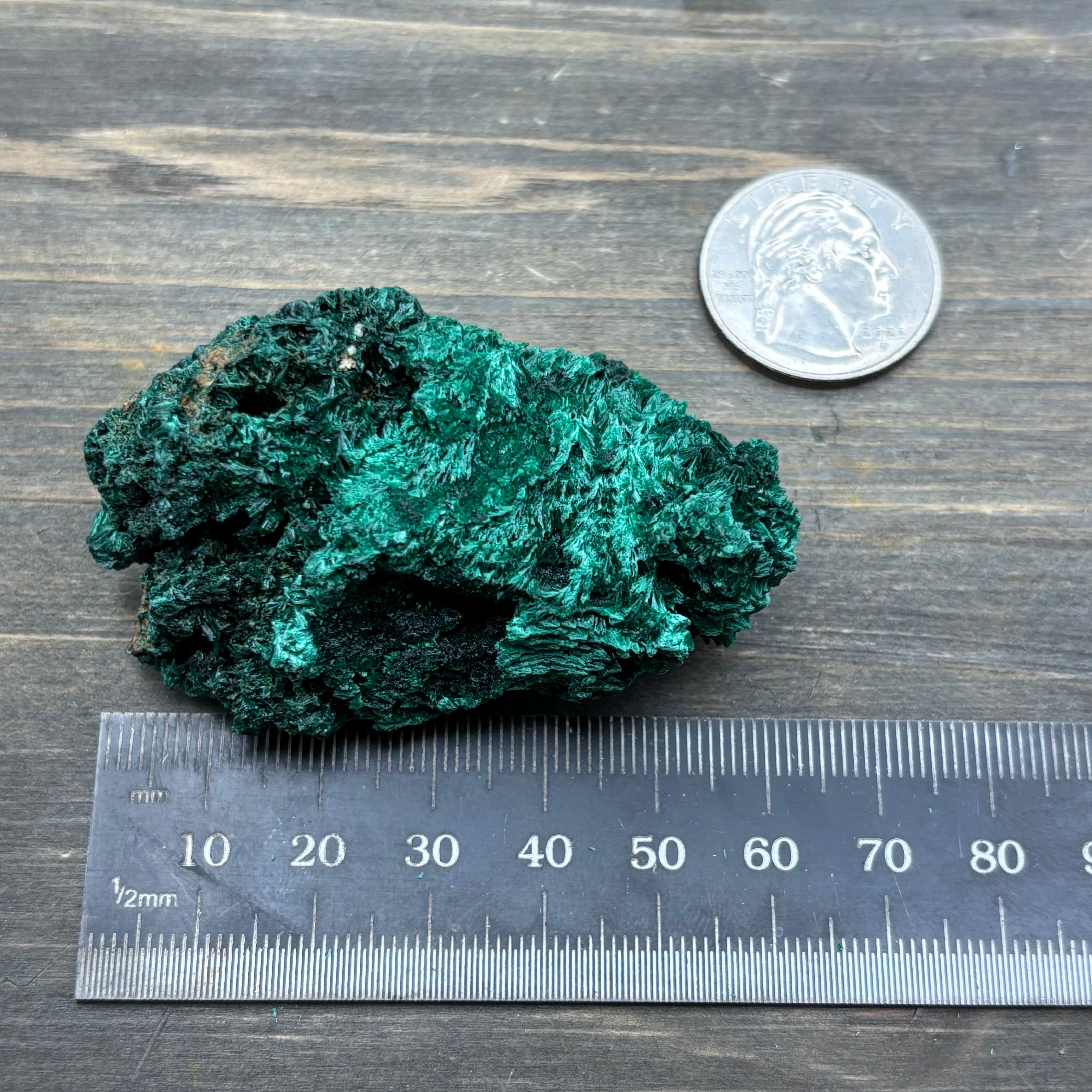 Emperor Malachite - 187