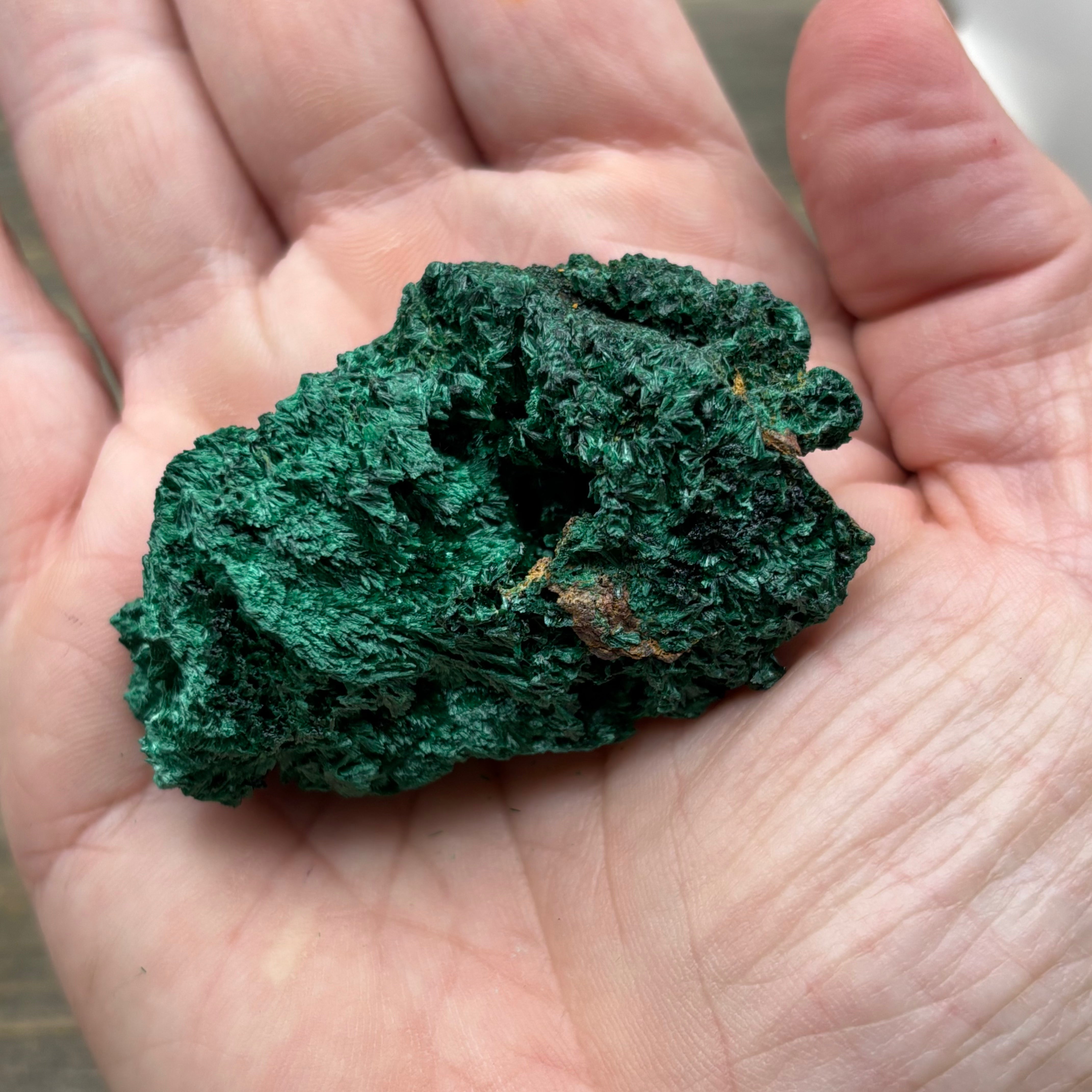 Emperor Malachite - 187