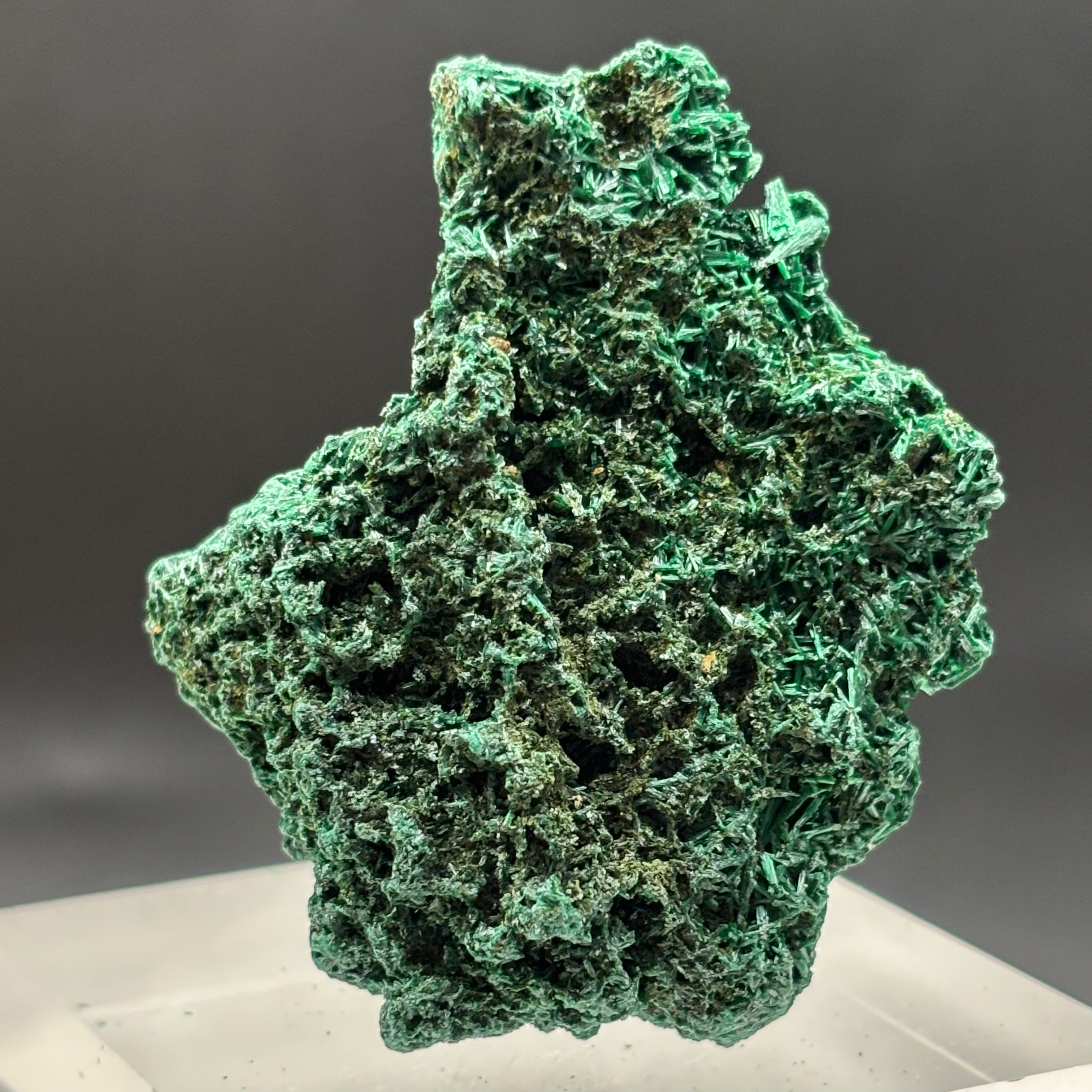 Emperor Malachite - 188