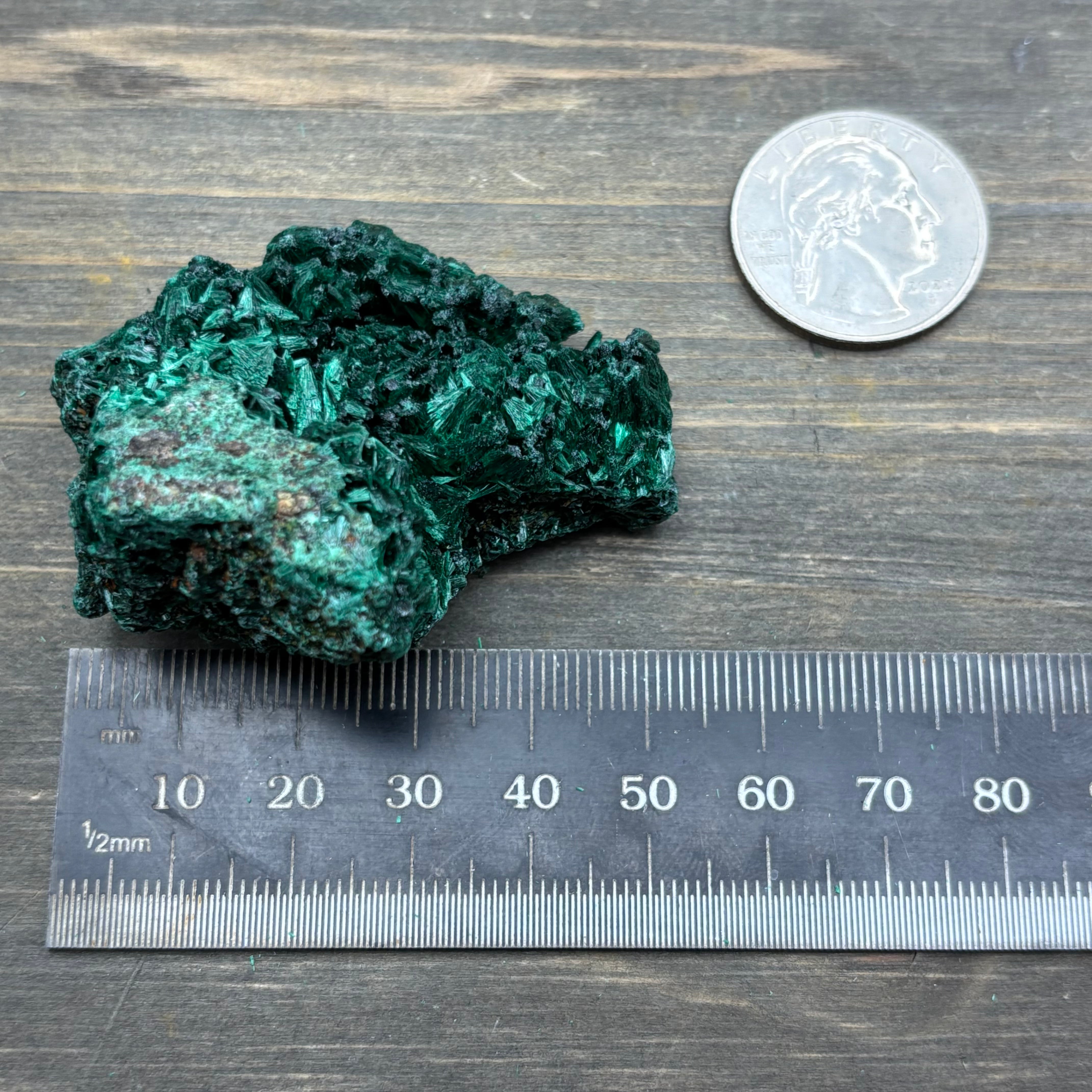 Emperor Malachite - 188