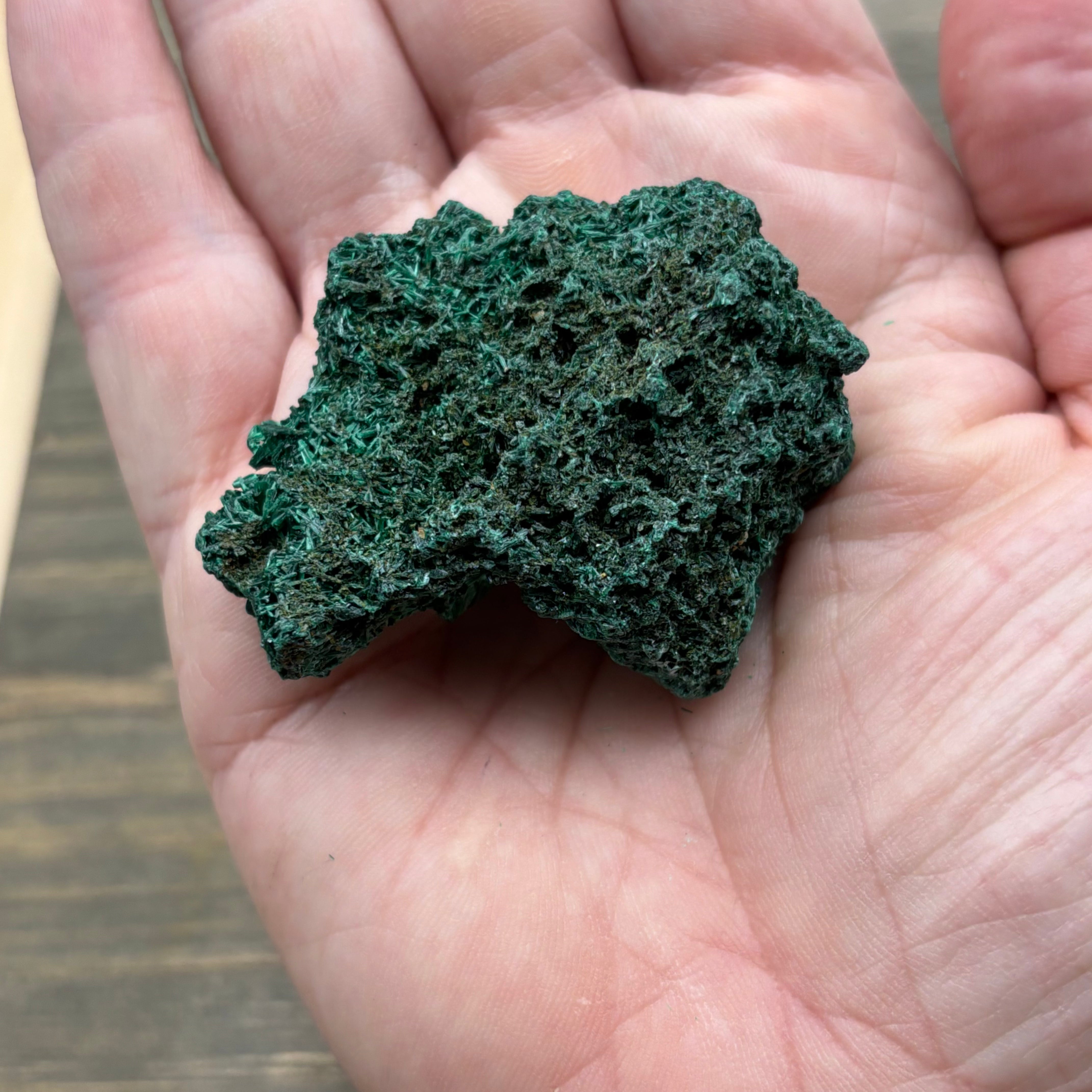 Emperor Malachite - 188