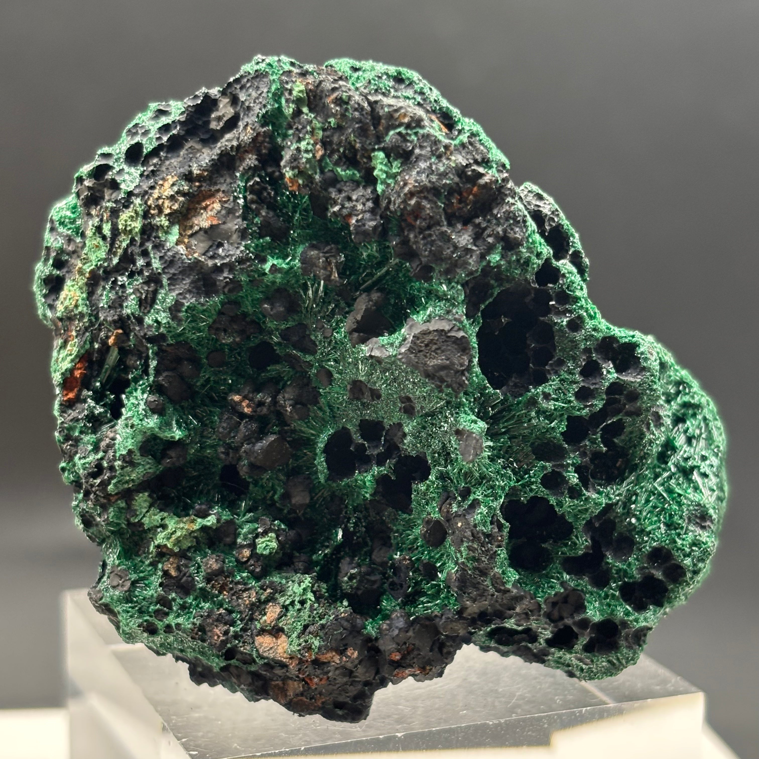 Emperor Malachite - 189