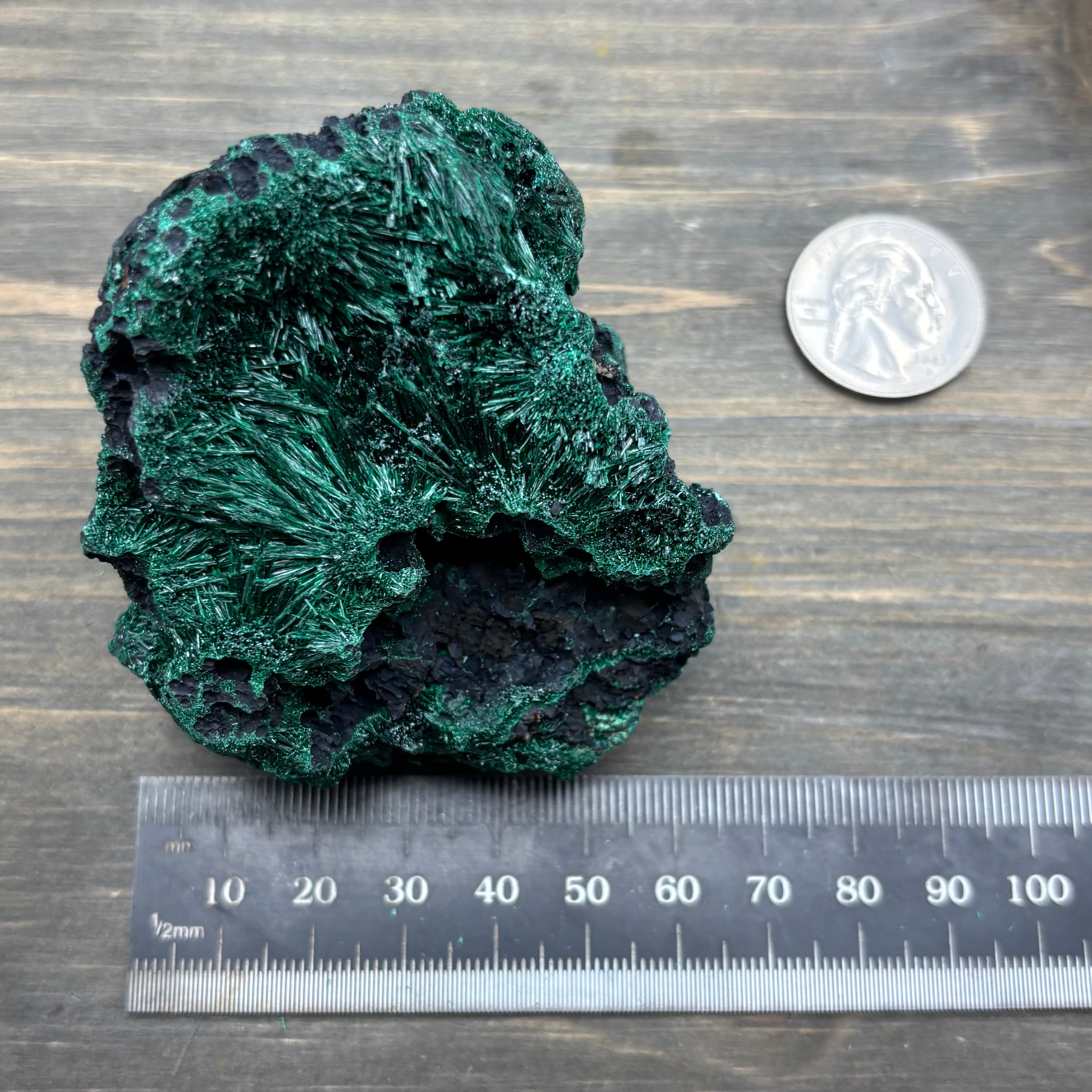 Emperor Malachite - 189