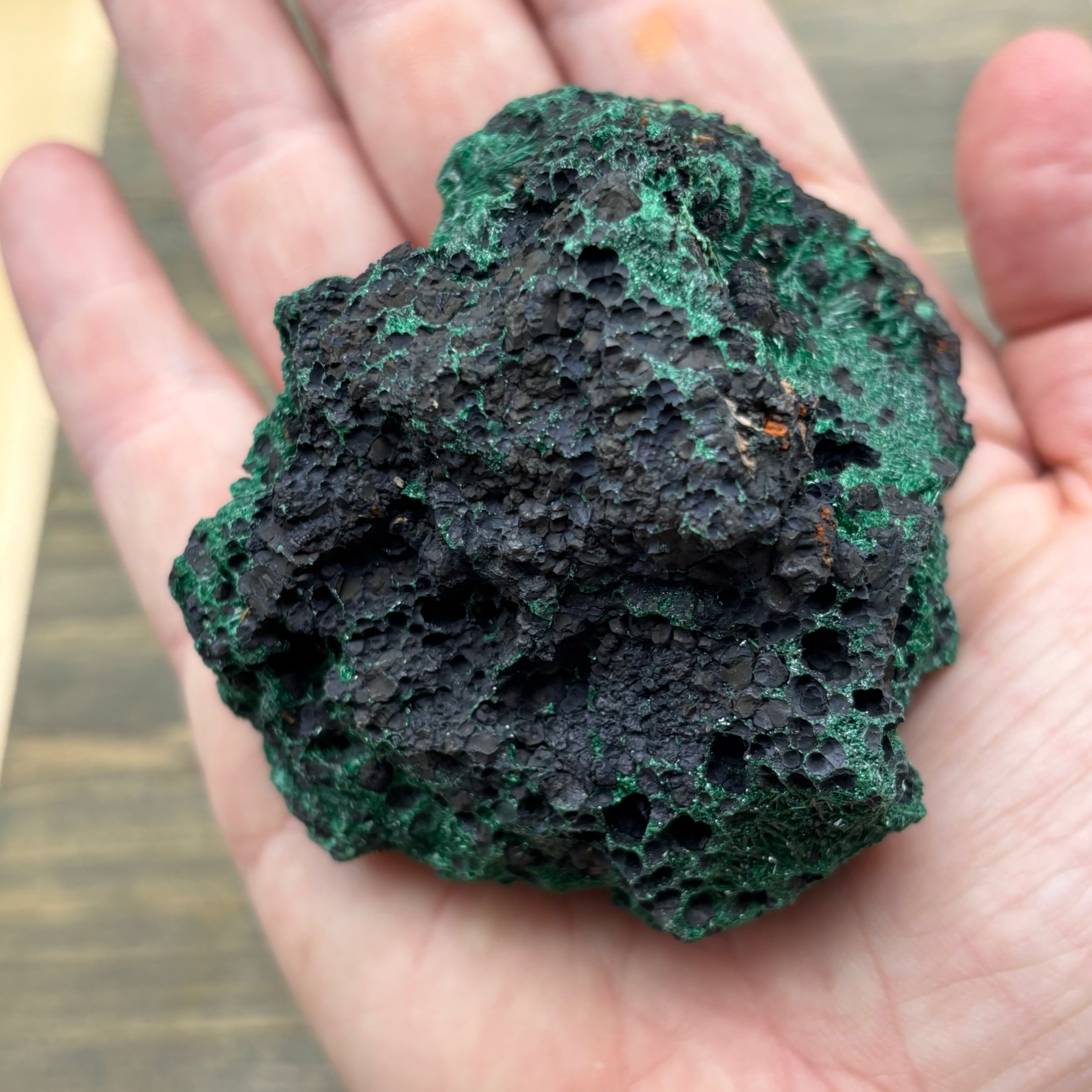 Emperor Malachite - 189