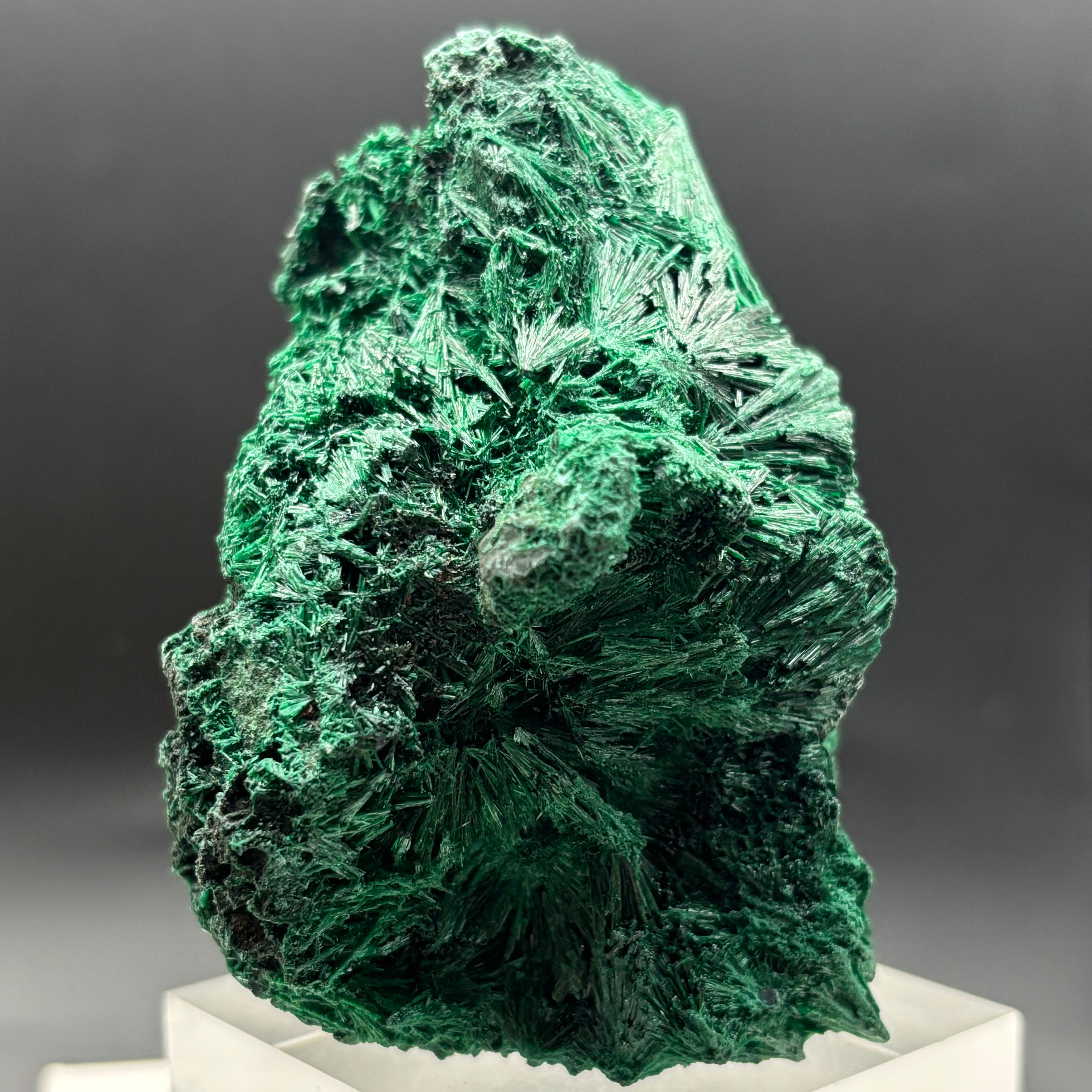Emperor Malachite - 190