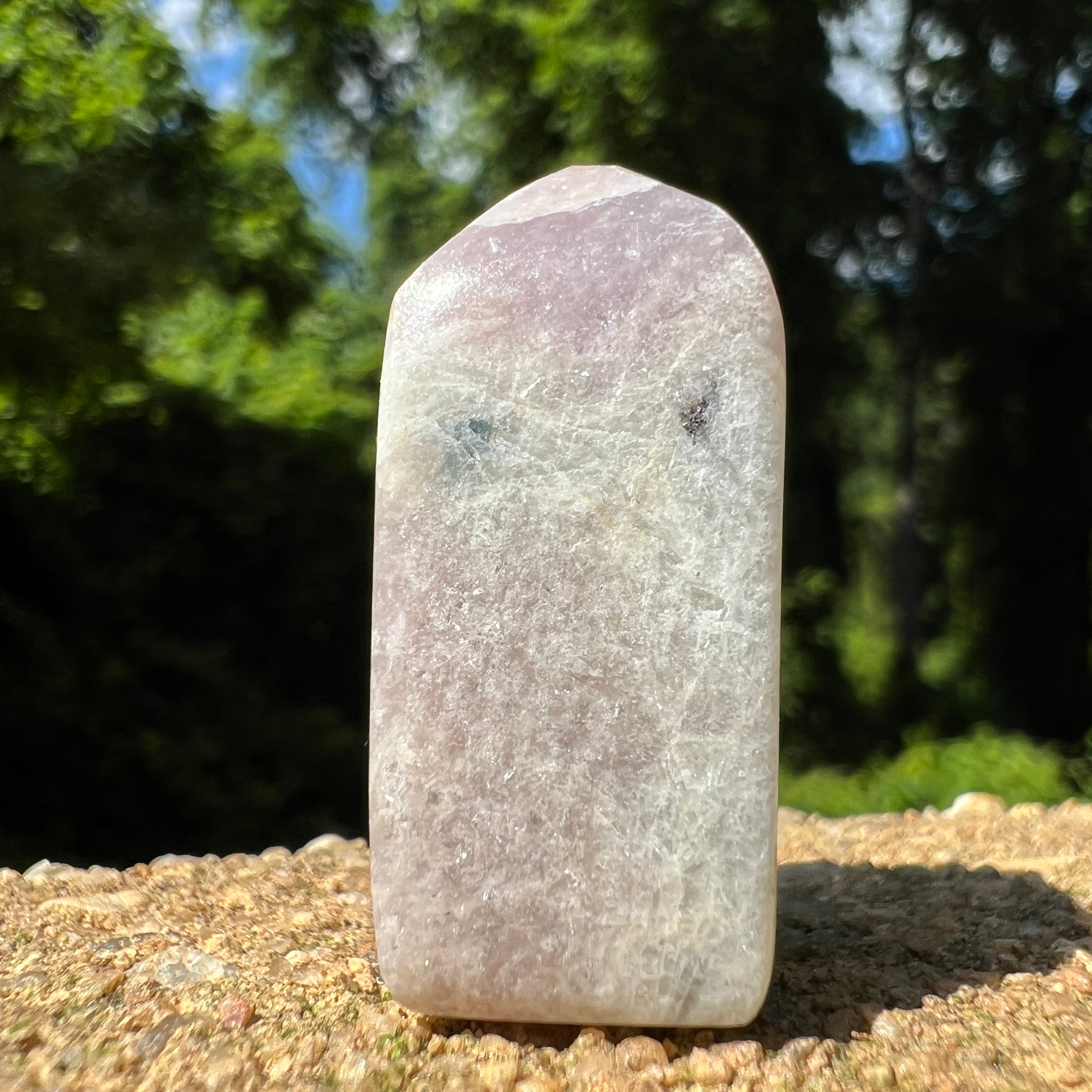 Euphoralite (Harmony) 039