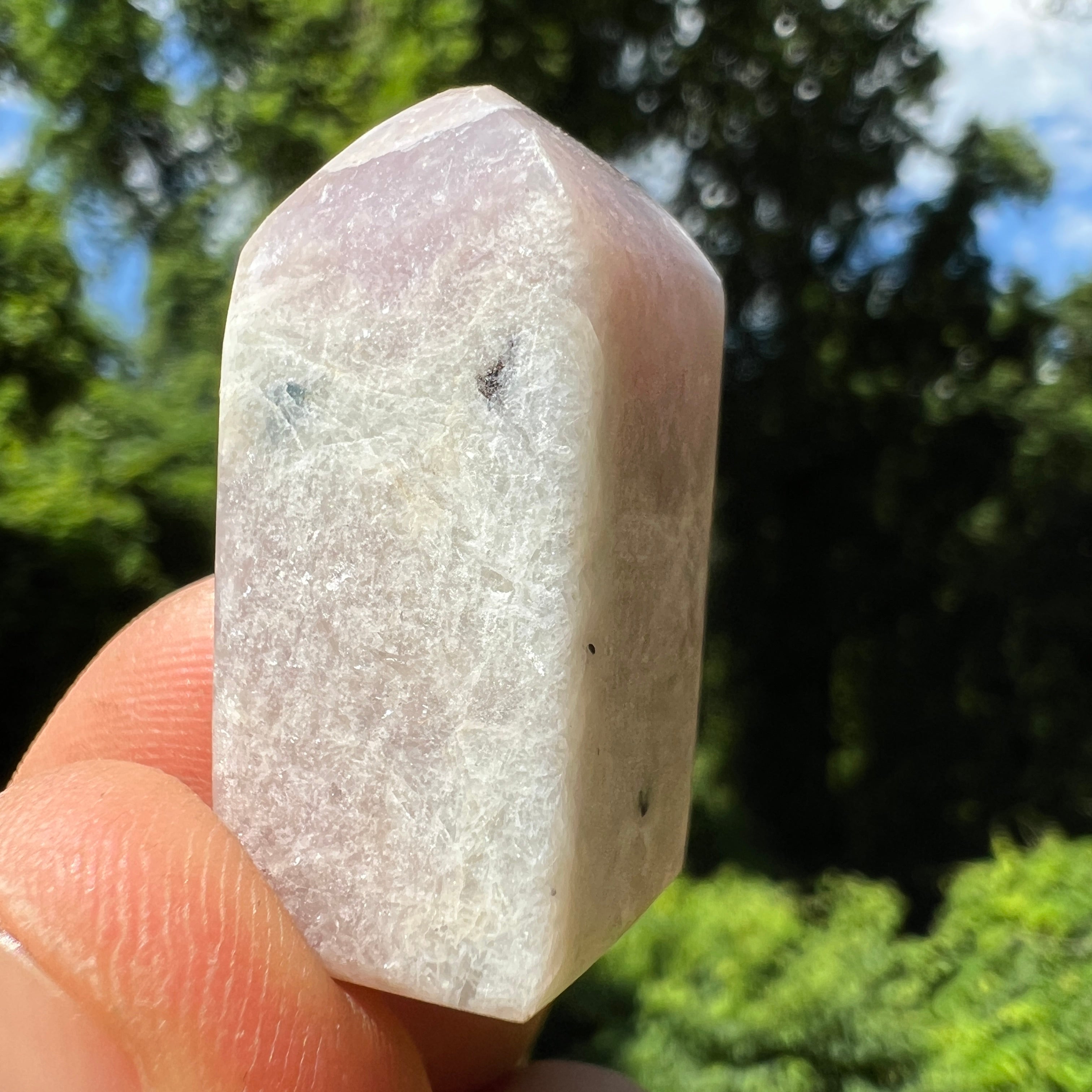 Euphoralite (Harmony) 039