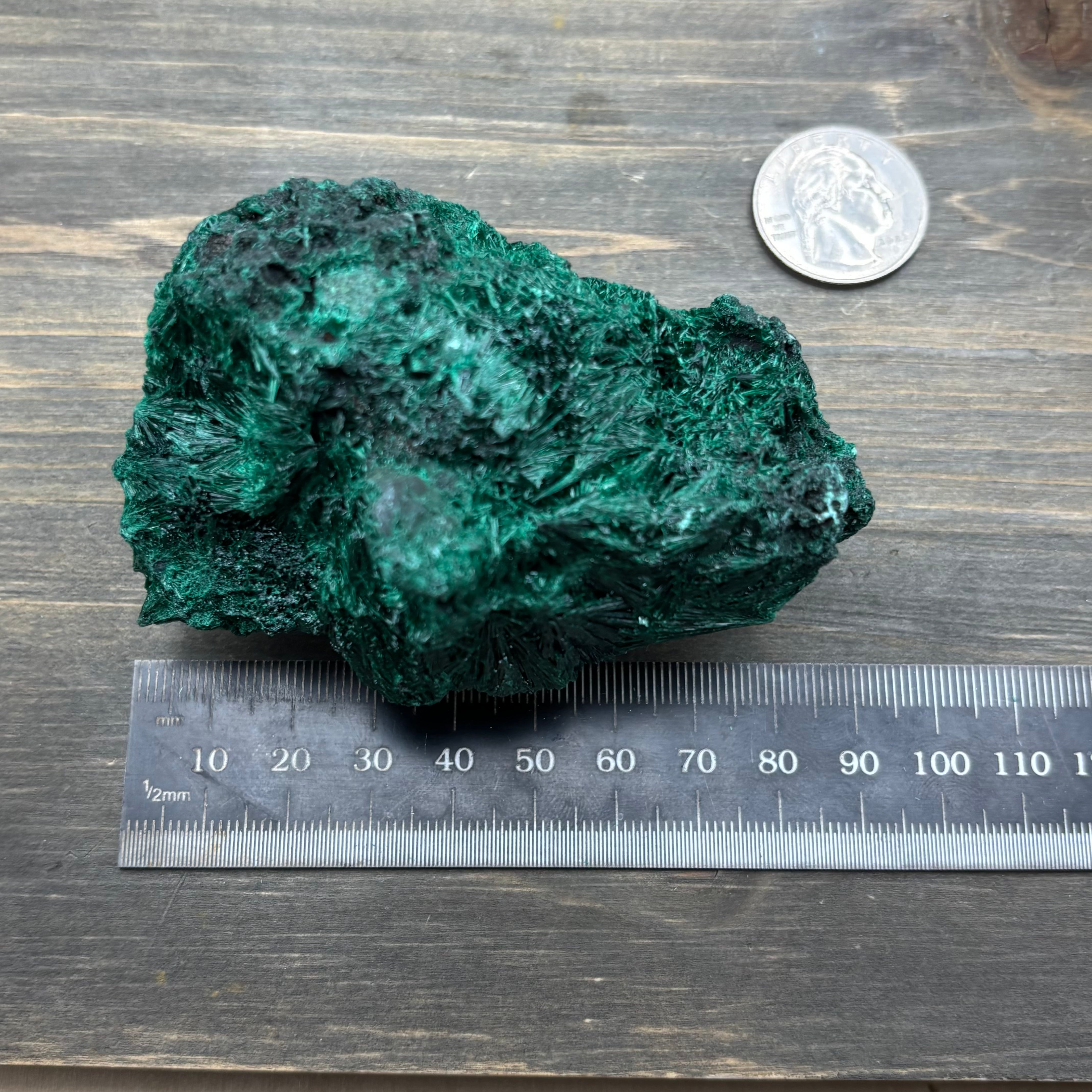 Emperor Malachite - 190