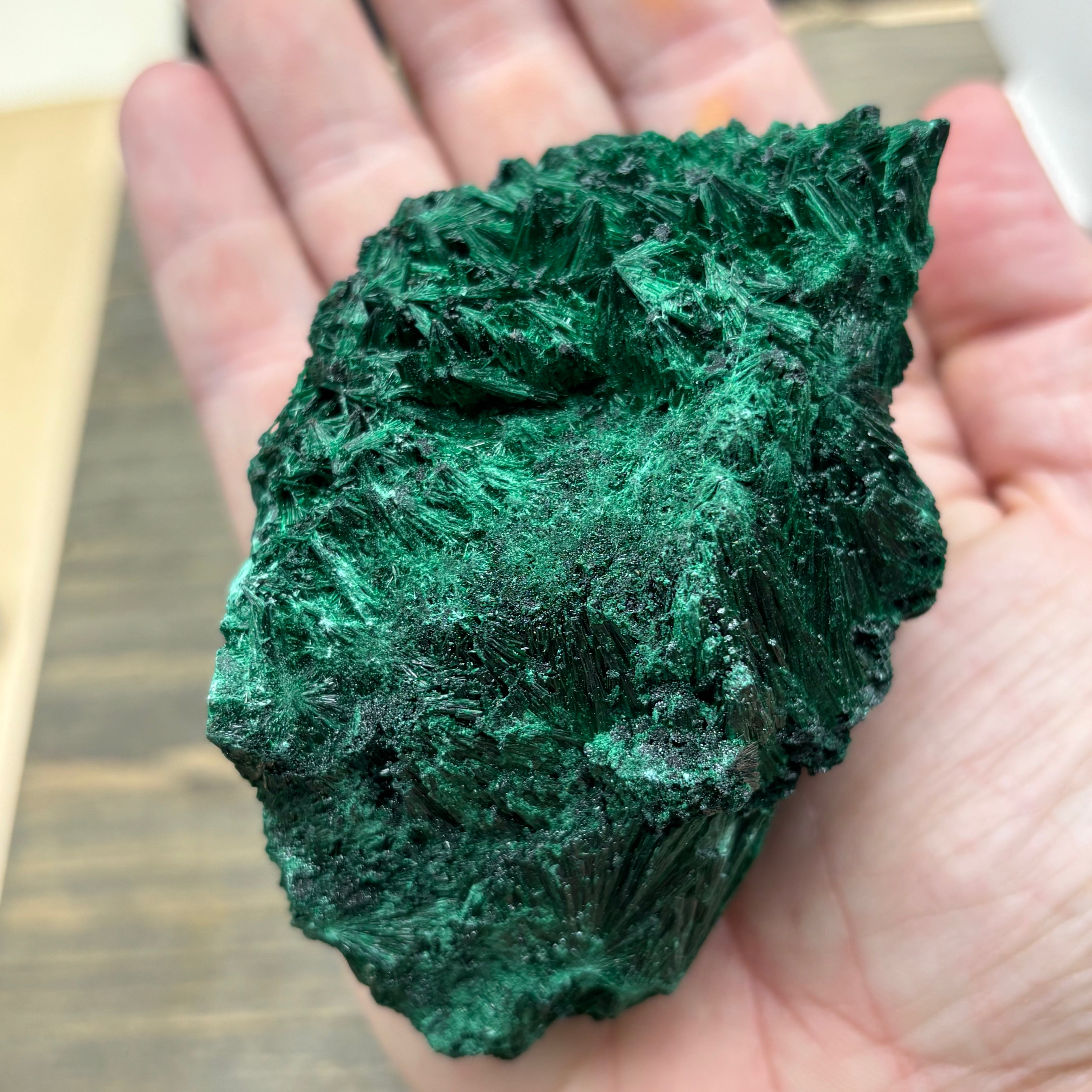Emperor Malachite - 190