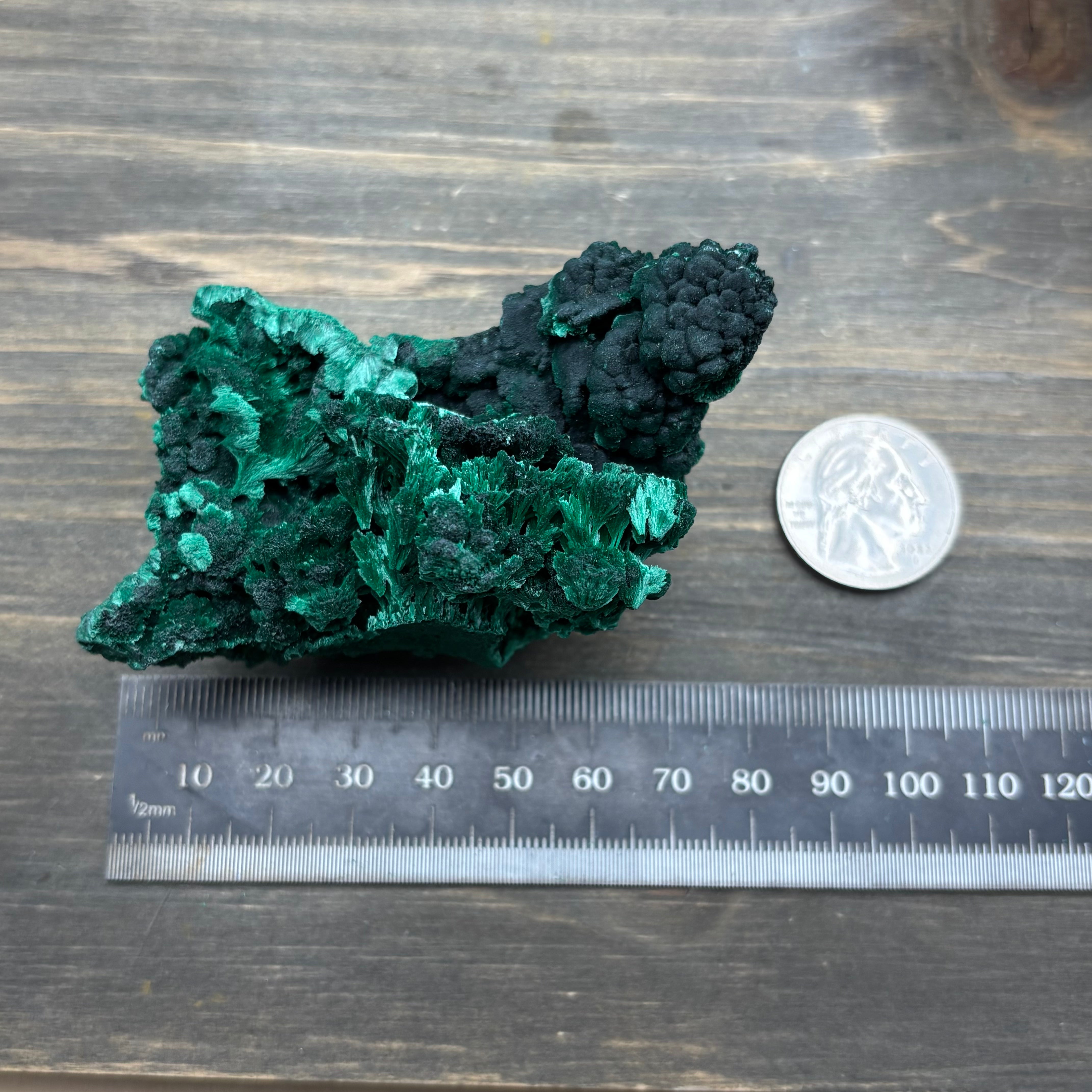 Emperor Malachite - 191