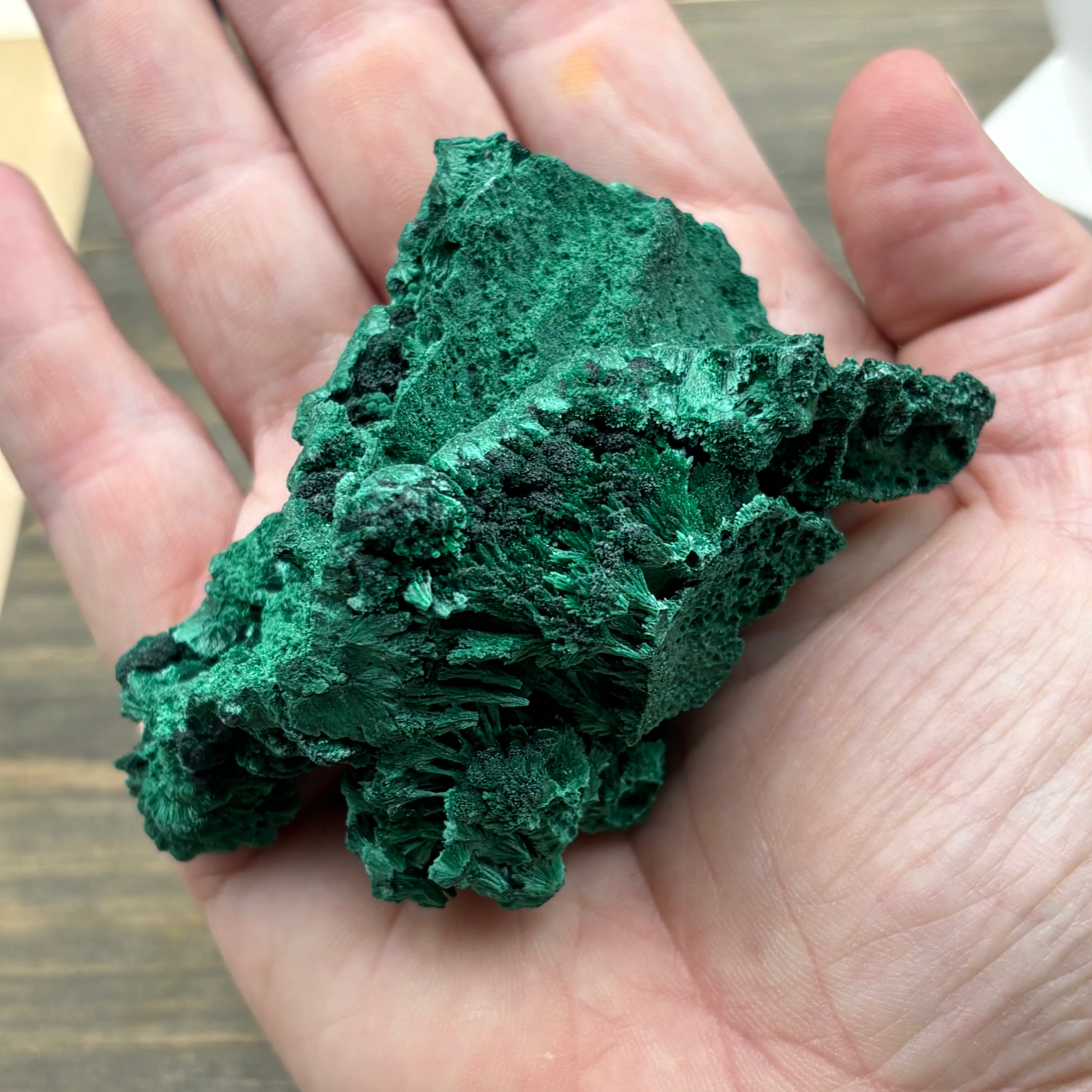Emperor Malachite - 191