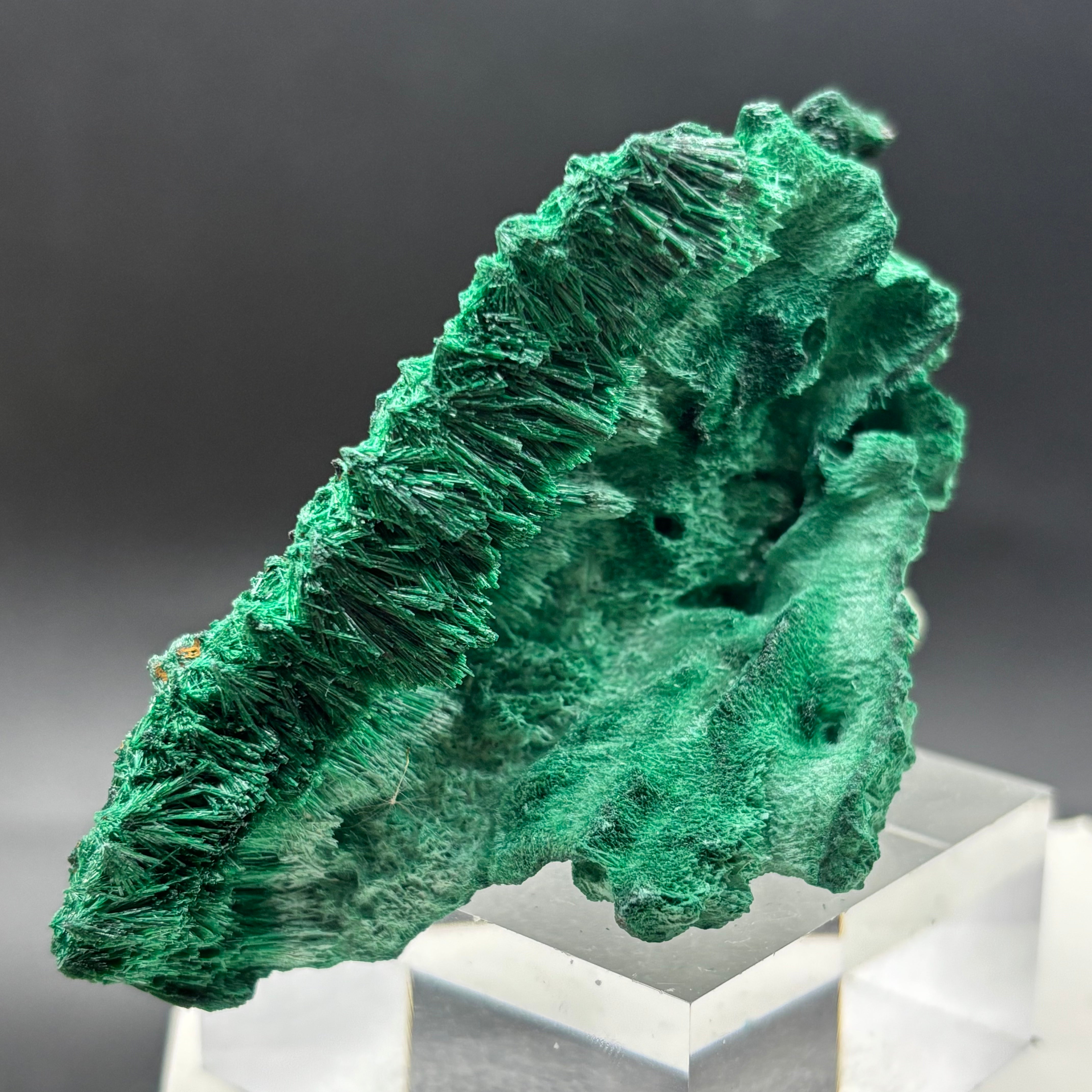 Emperor Malachite - 192