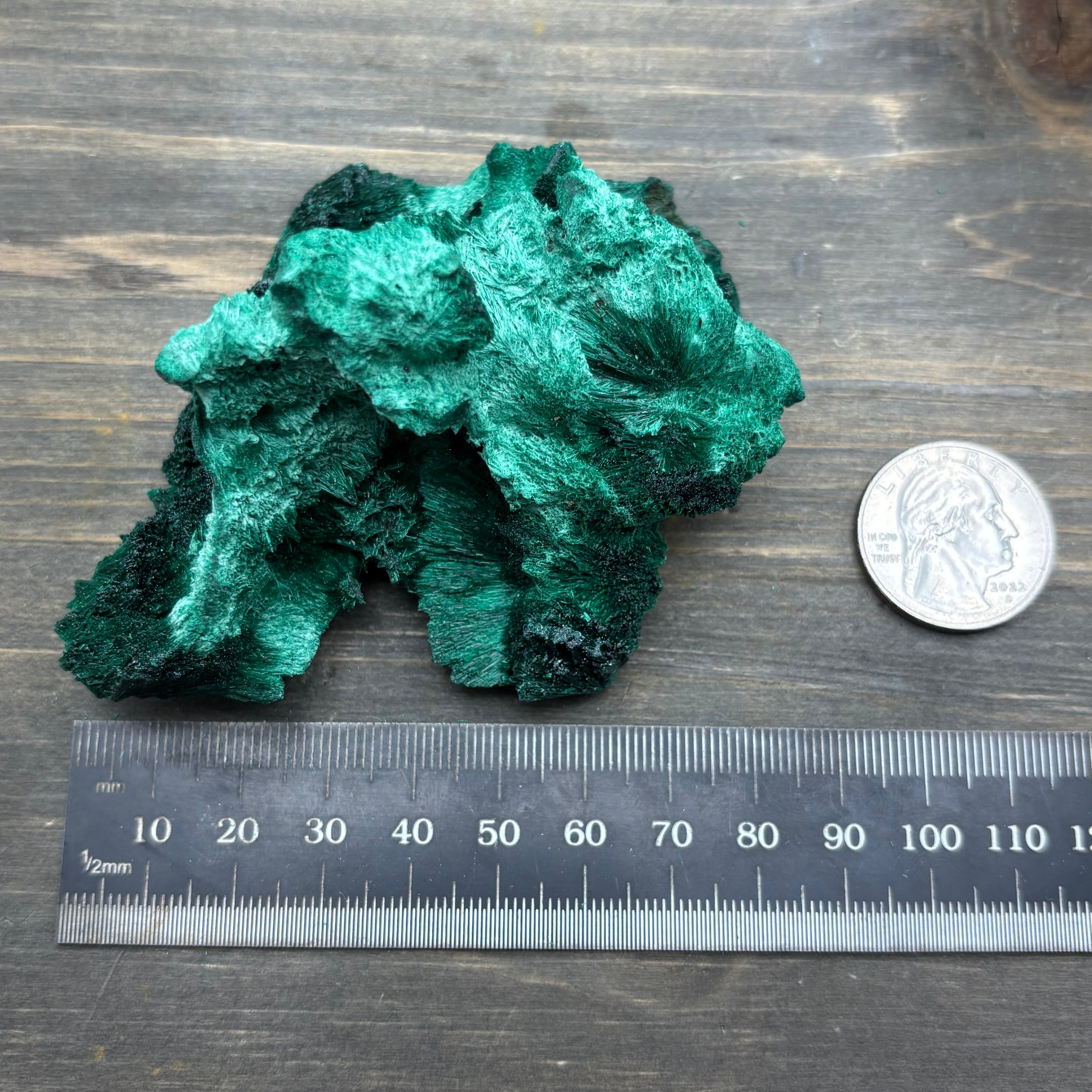 Emperor Malachite - 192