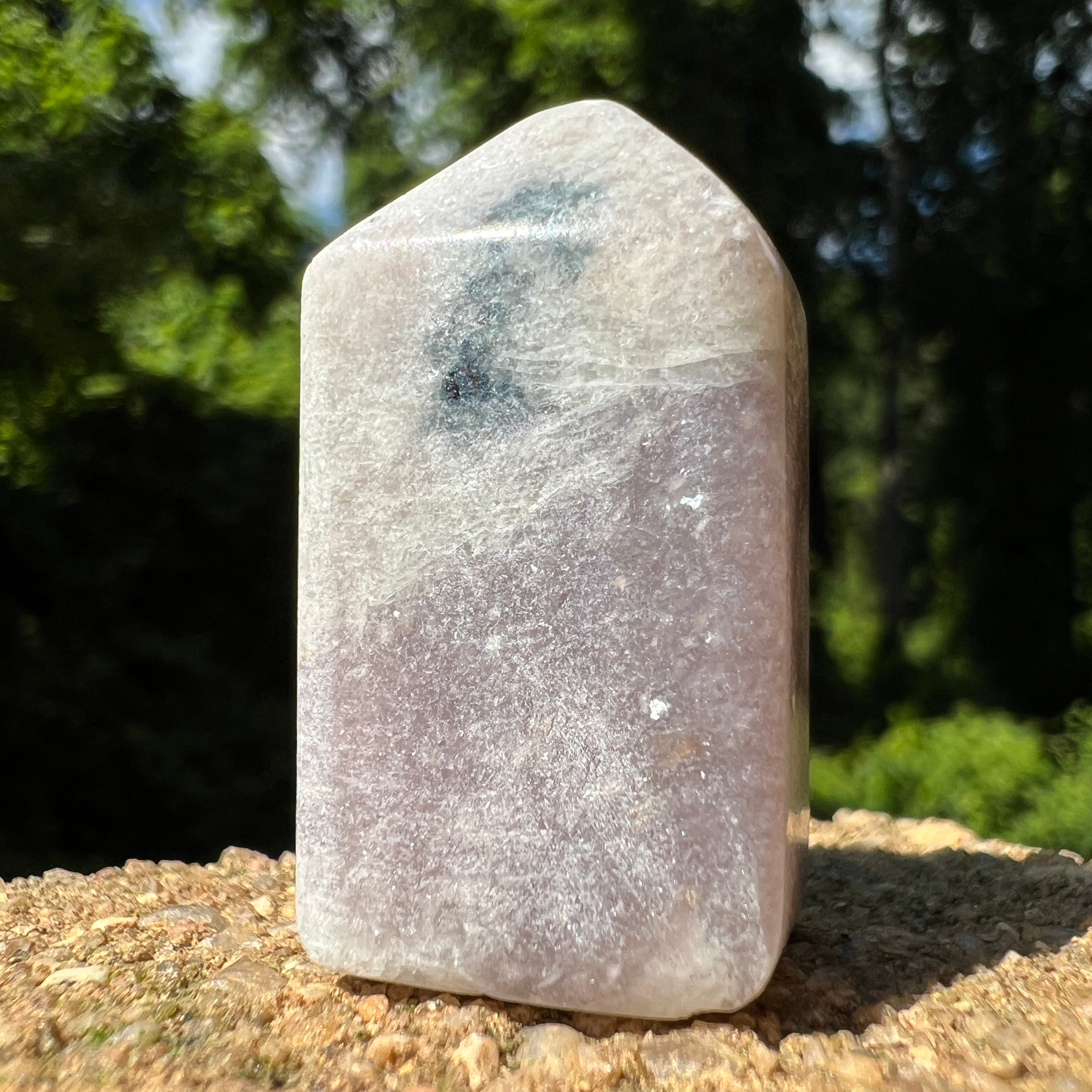 Euphoralite (Harmony) 043