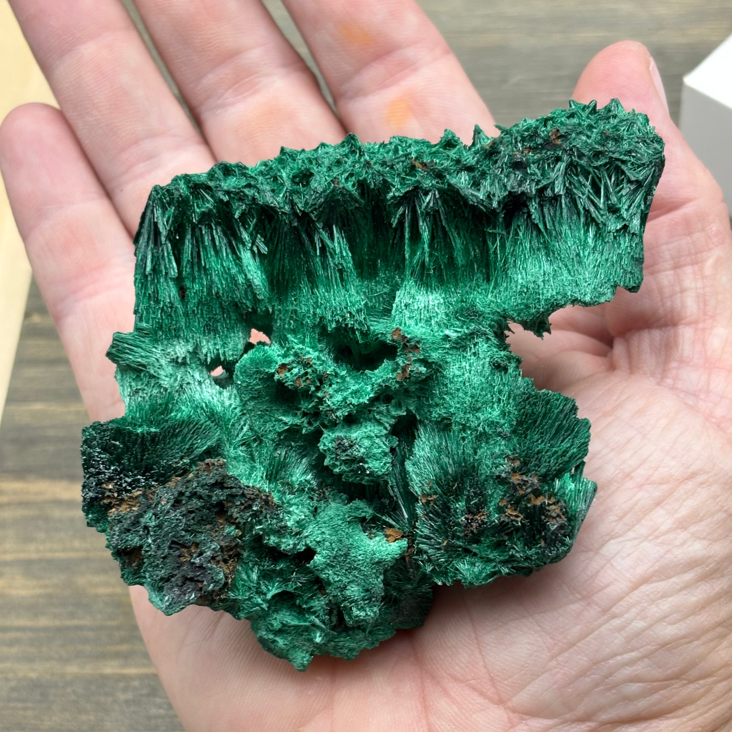 Emperor Malachite - 192