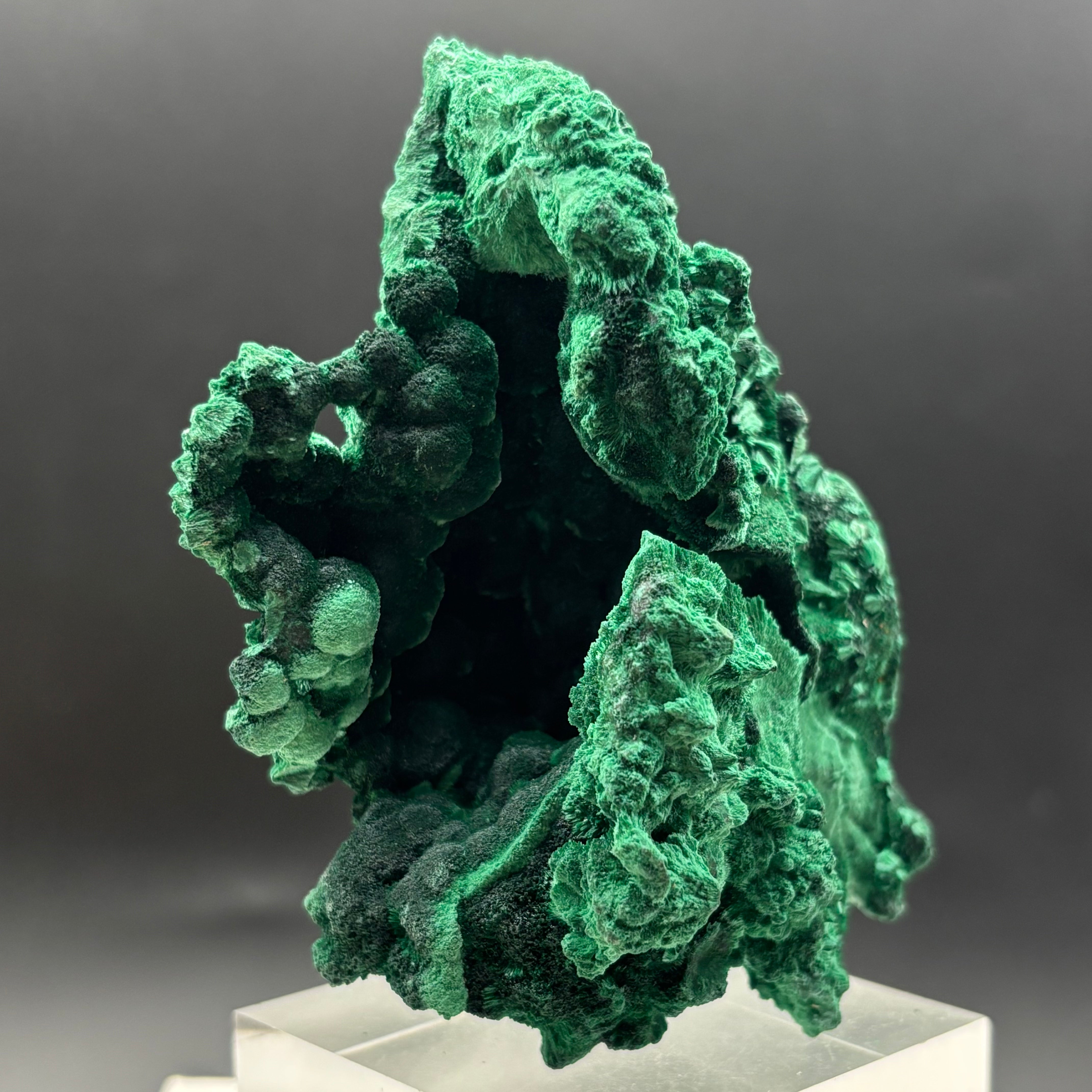 Emperor Malachite - 193