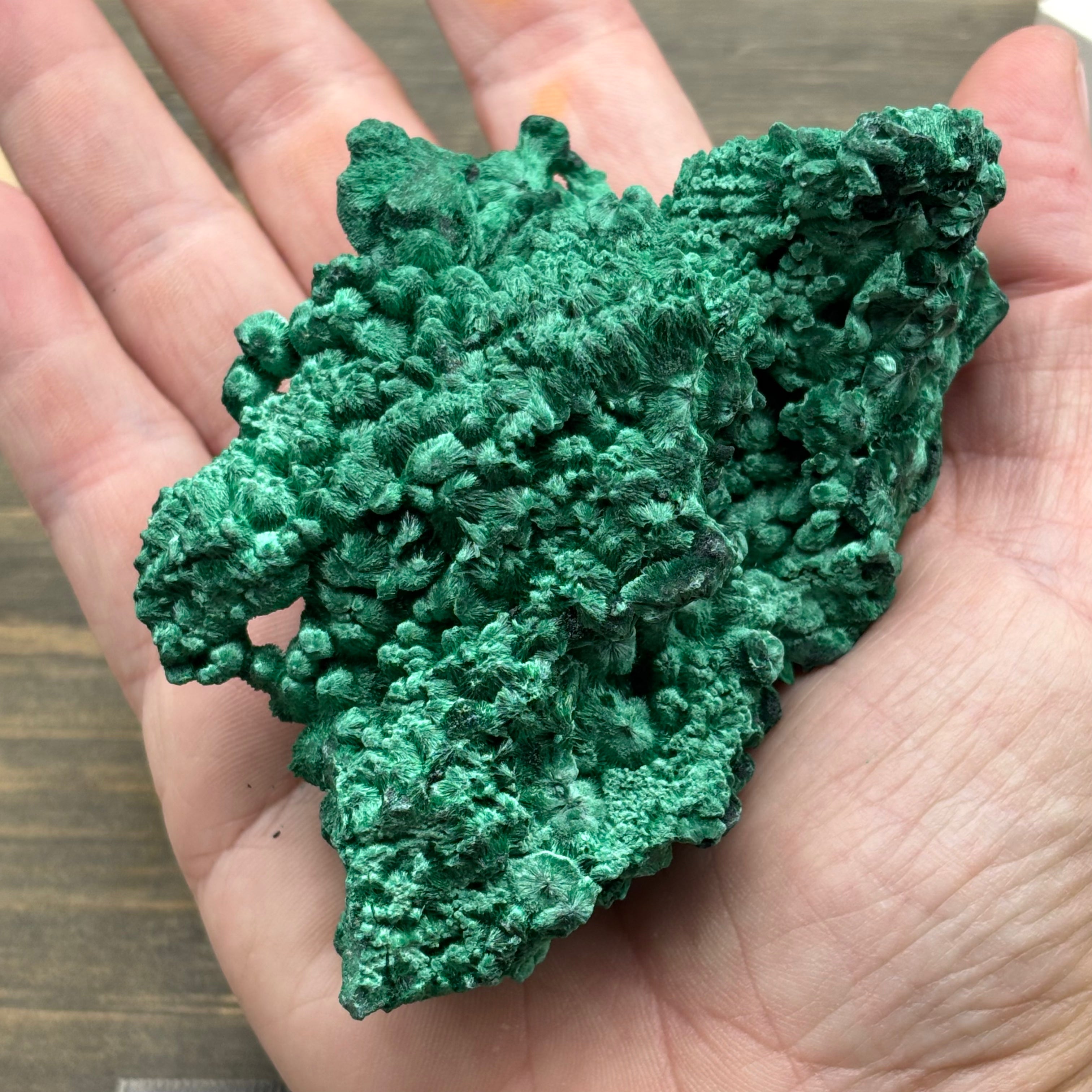 Emperor Malachite - 193