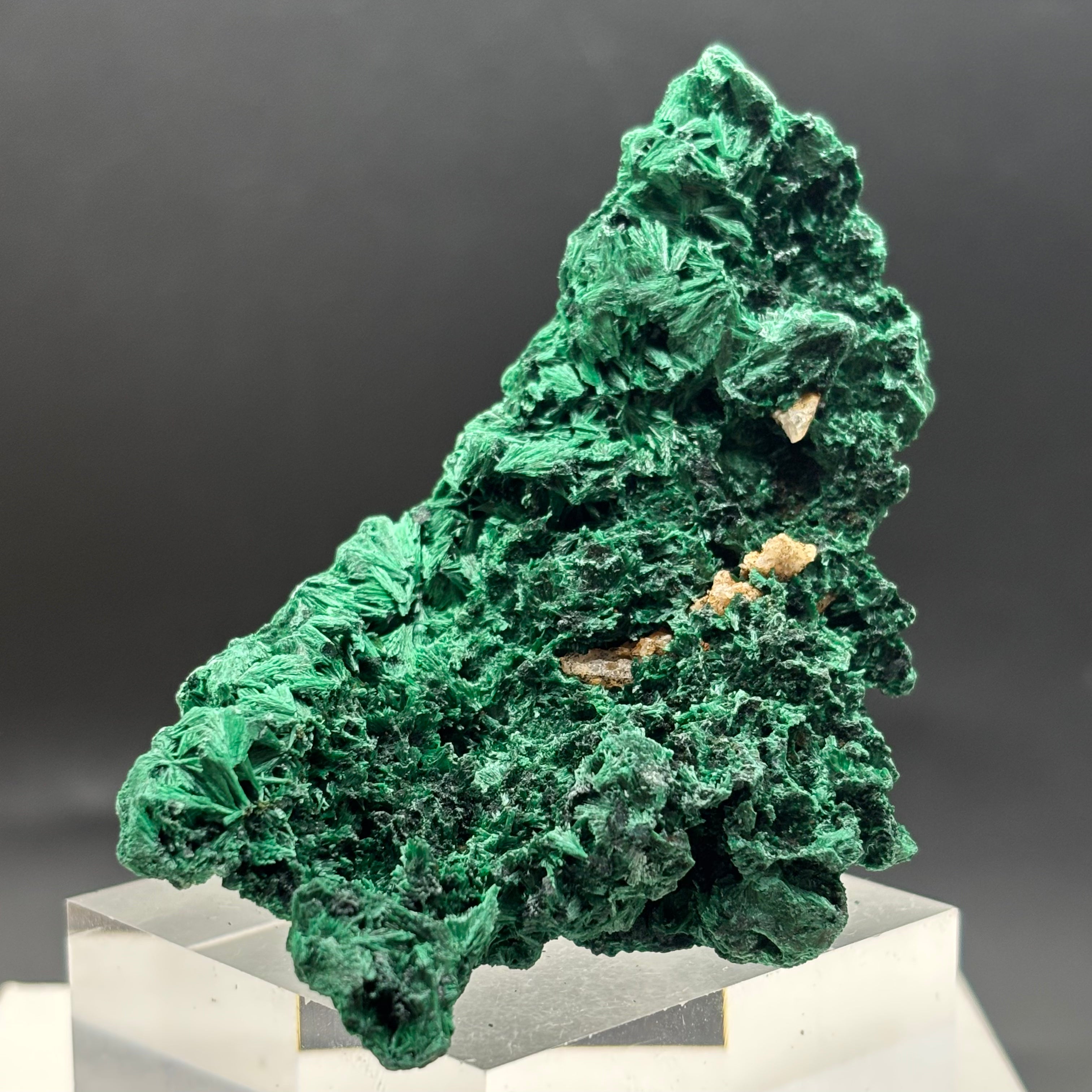 Emperor Malachite - 194