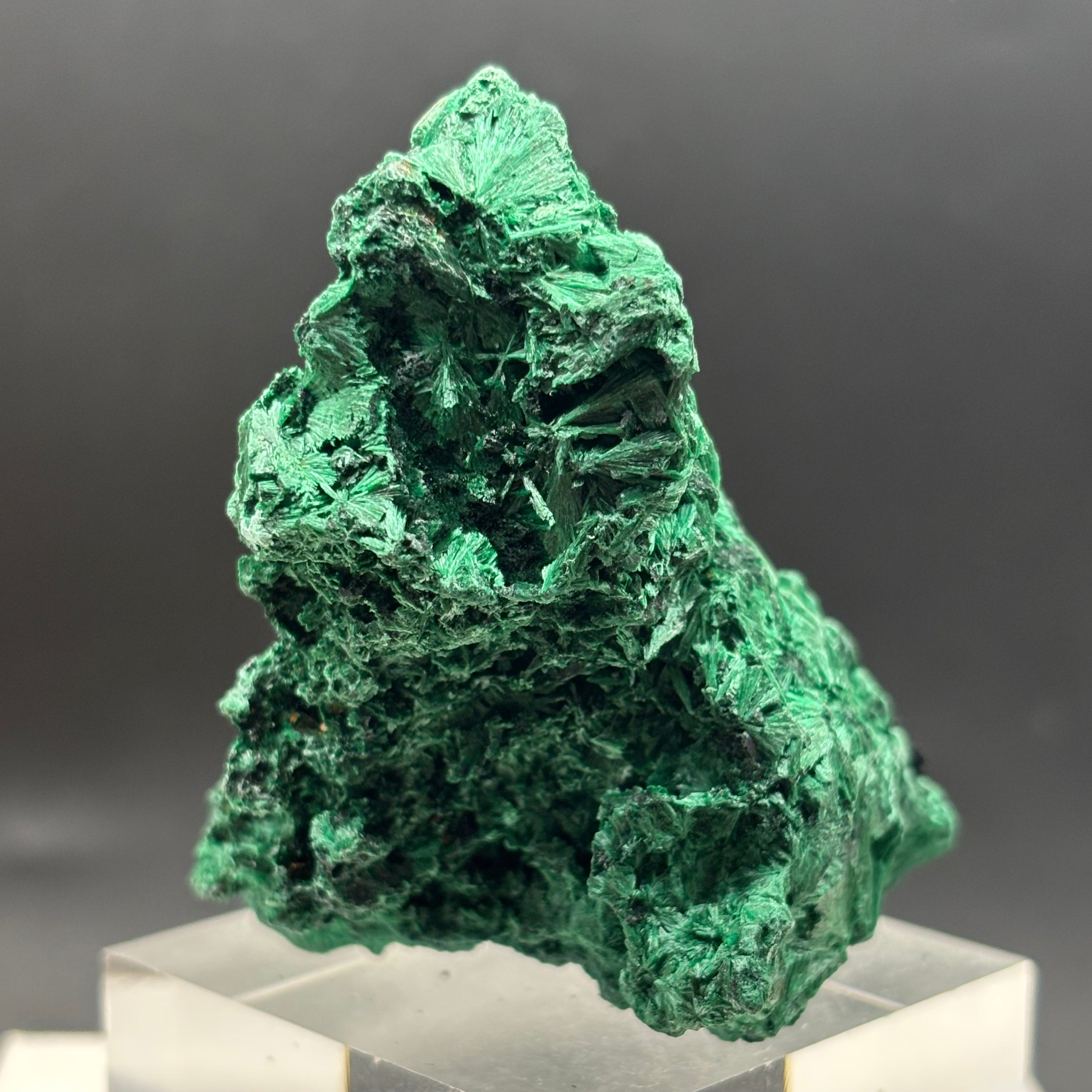Emperor Malachite - 194