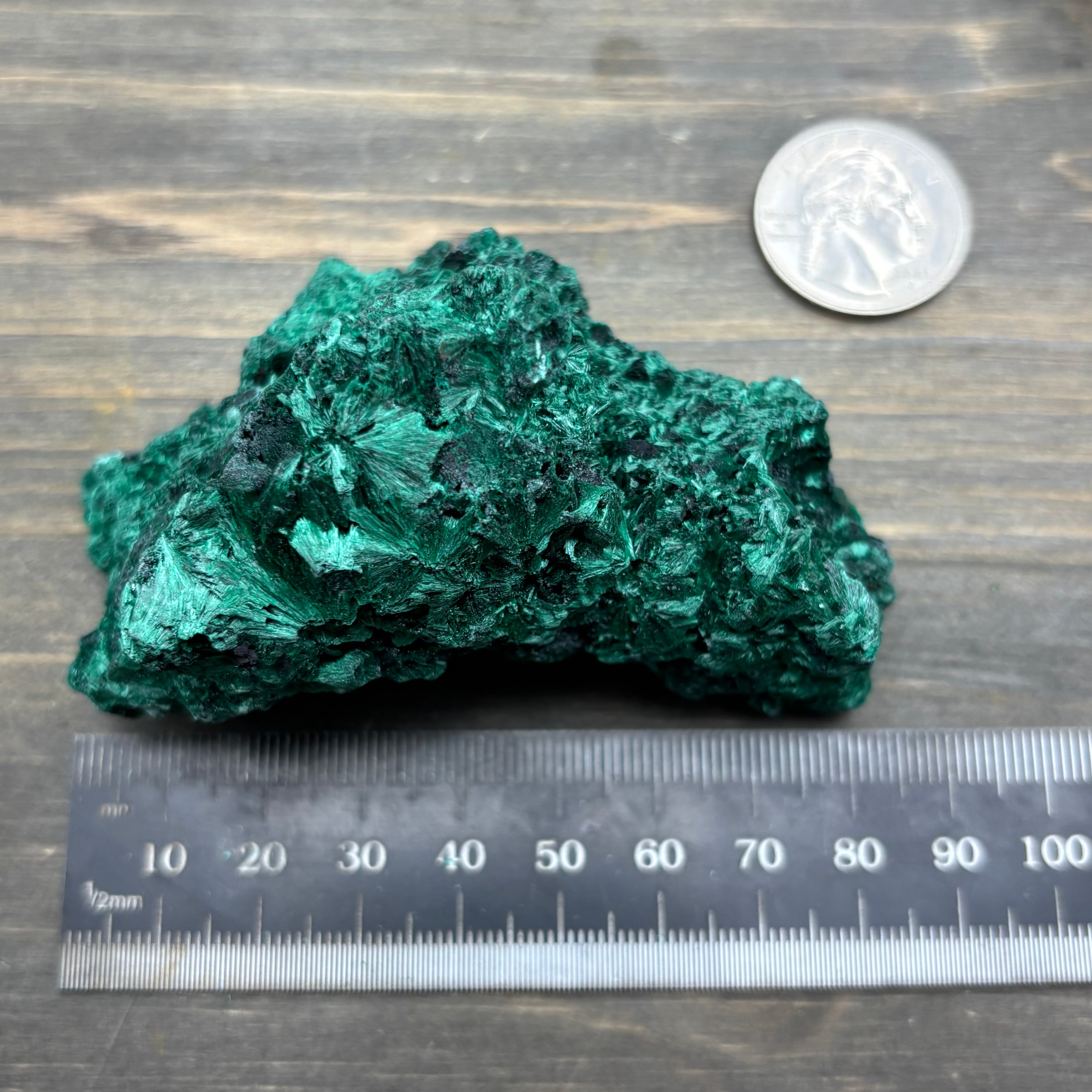 Emperor Malachite - 194