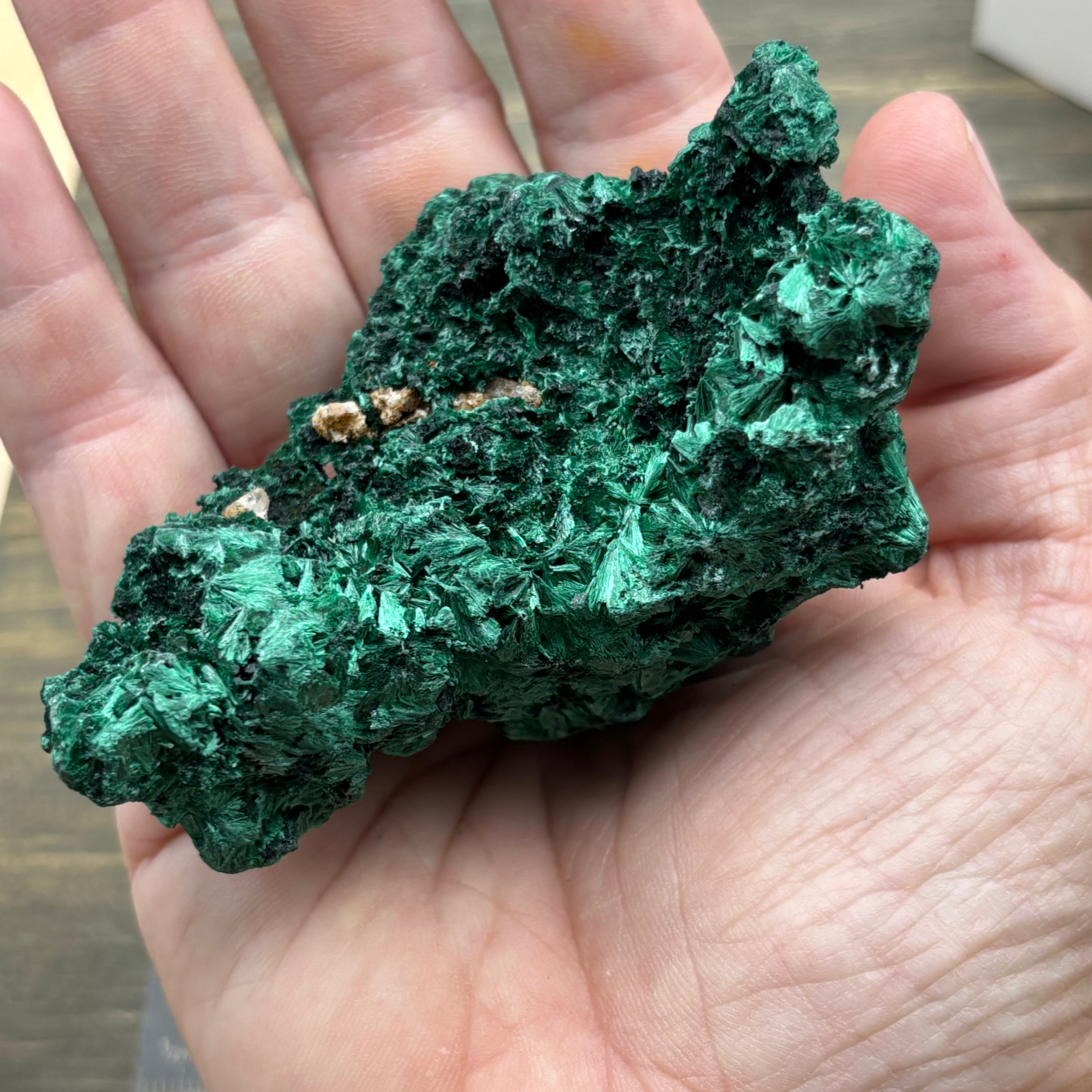 Emperor Malachite - 194