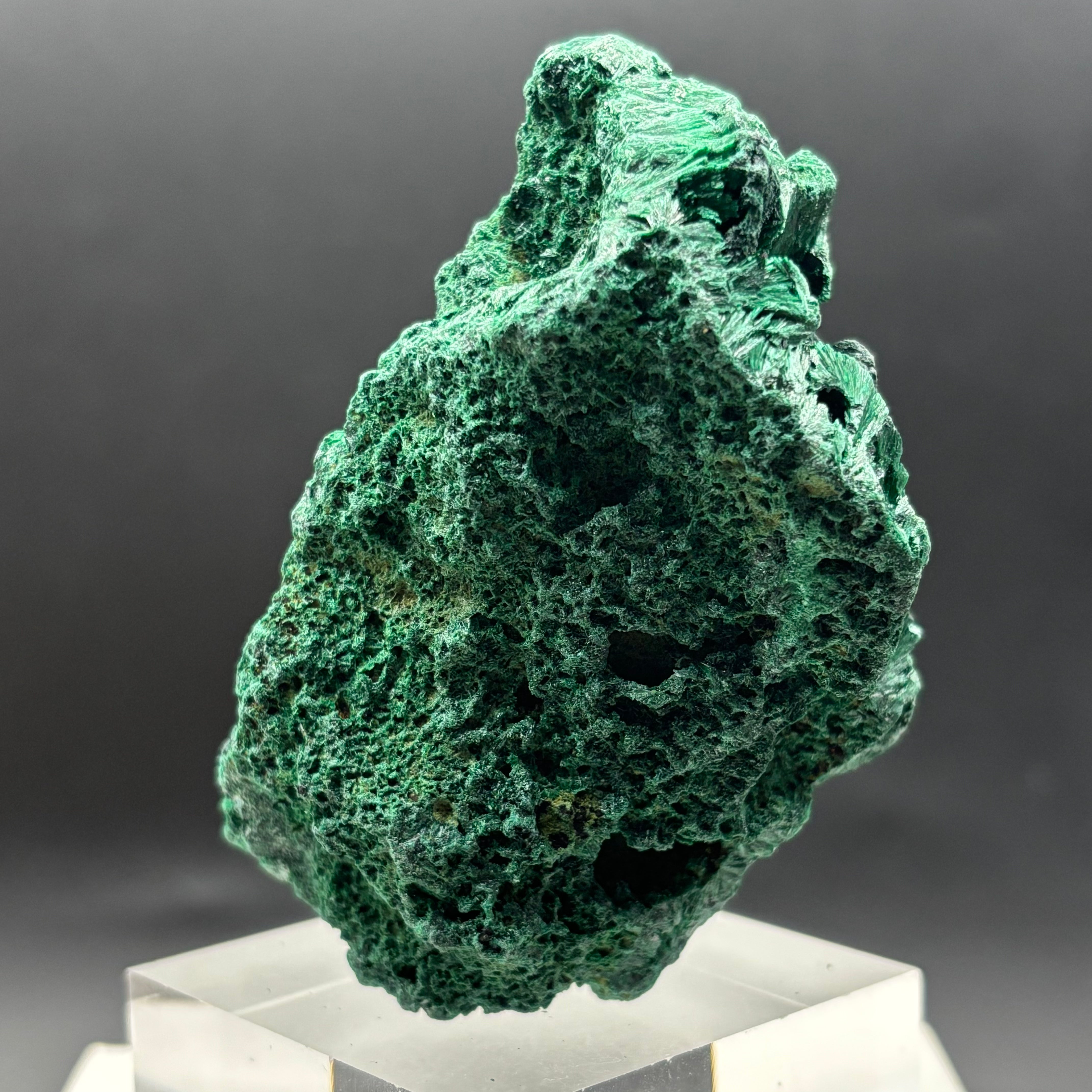 Emperor Malachite - 195