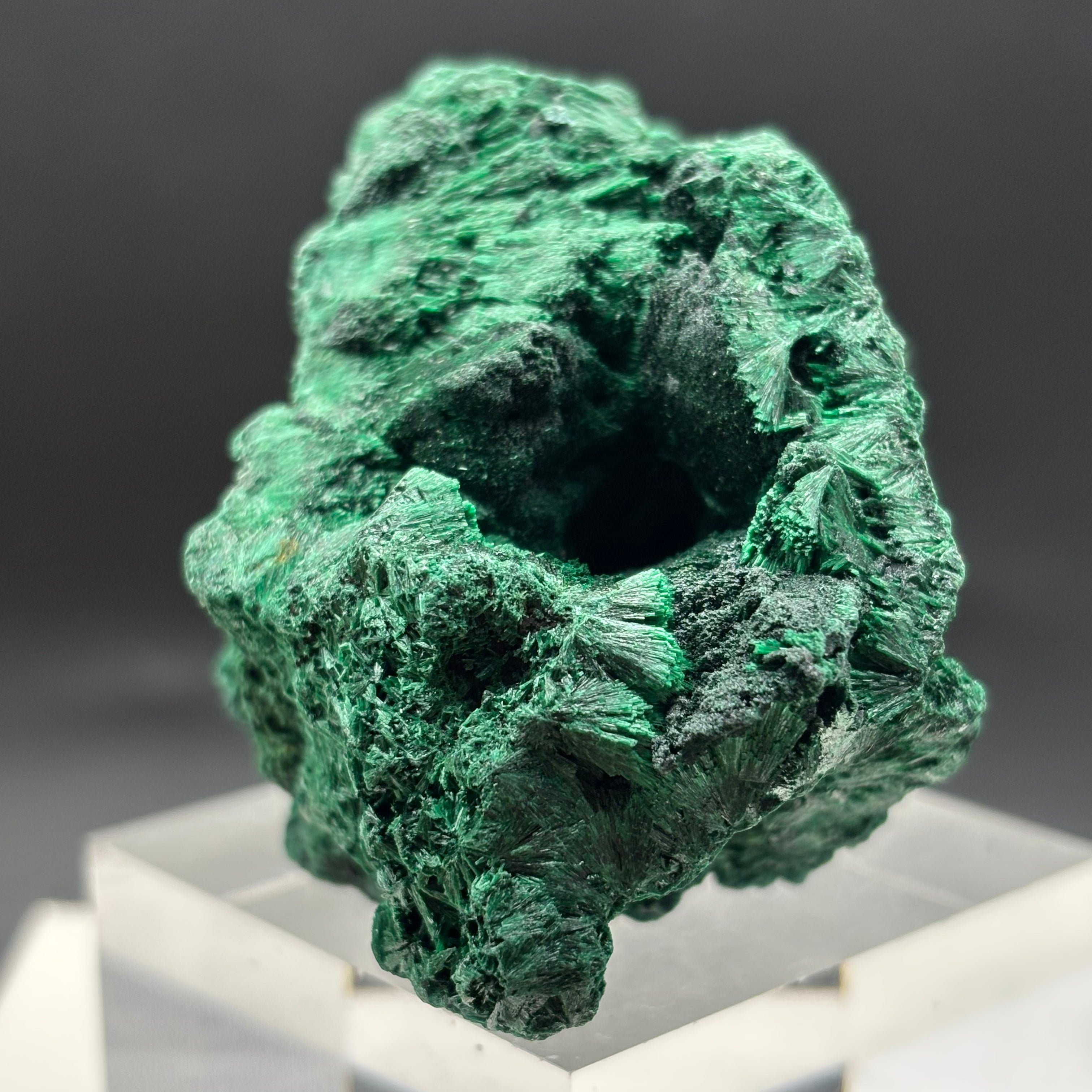 Emperor Malachite - 195