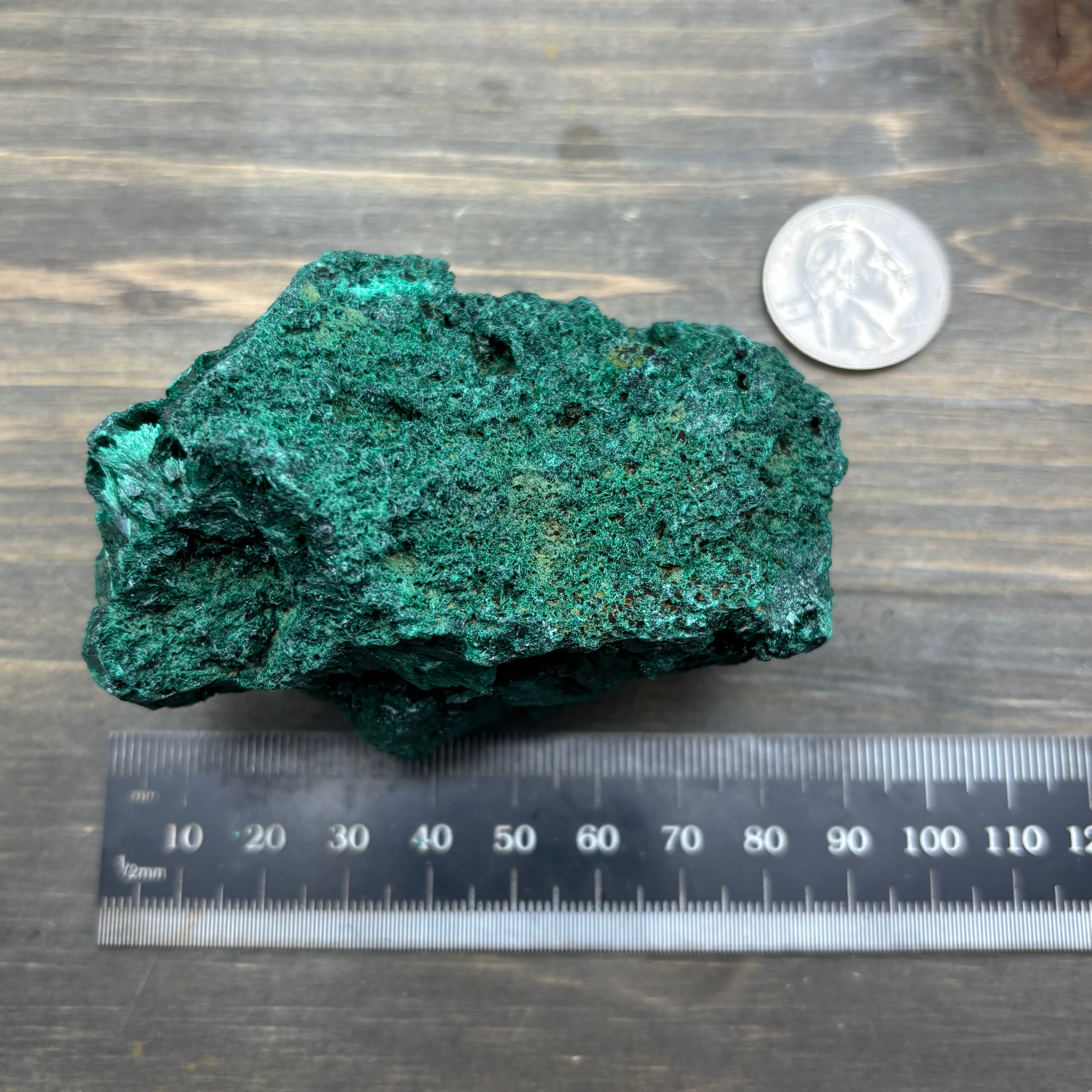 Emperor Malachite - 195