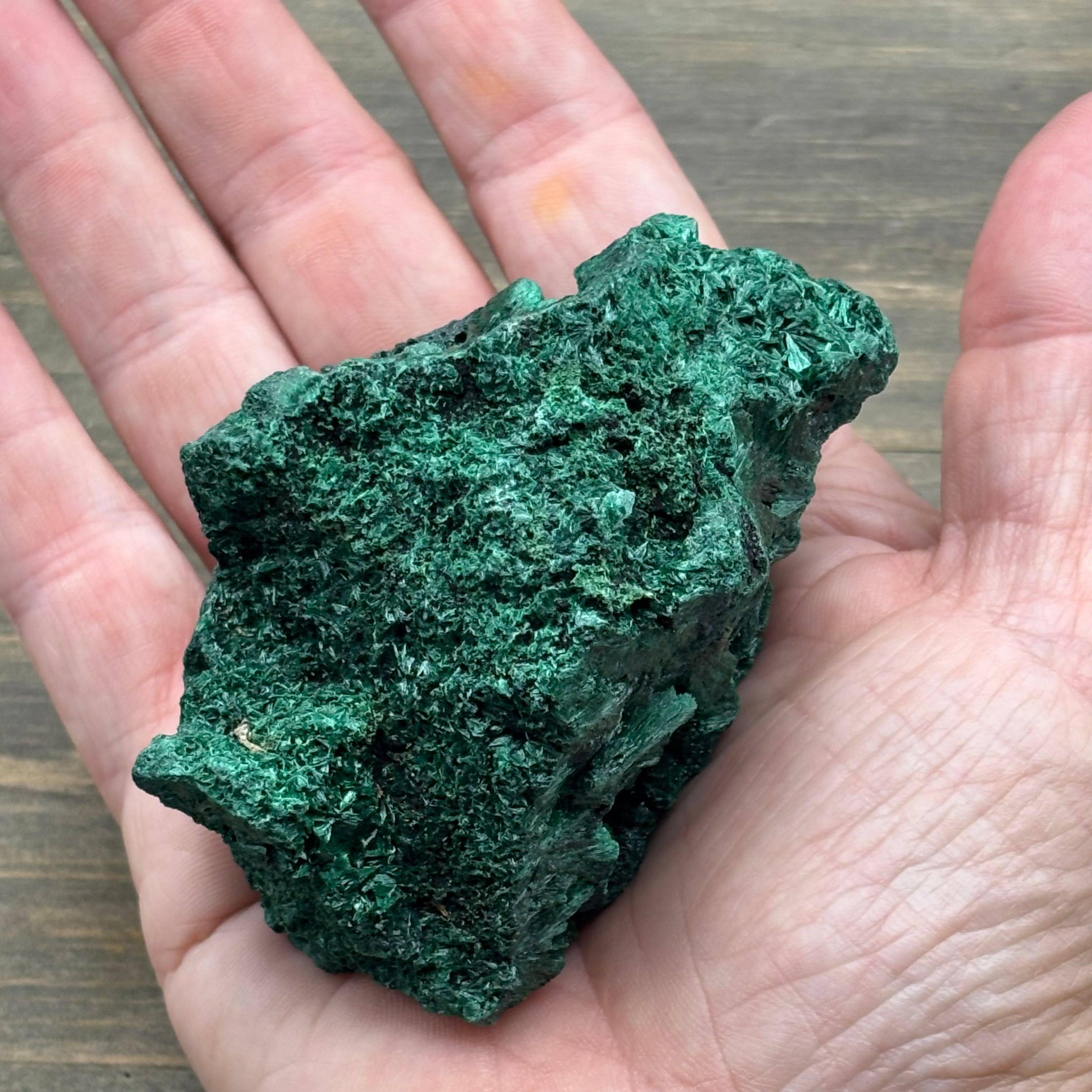 Emperor Malachite - 195