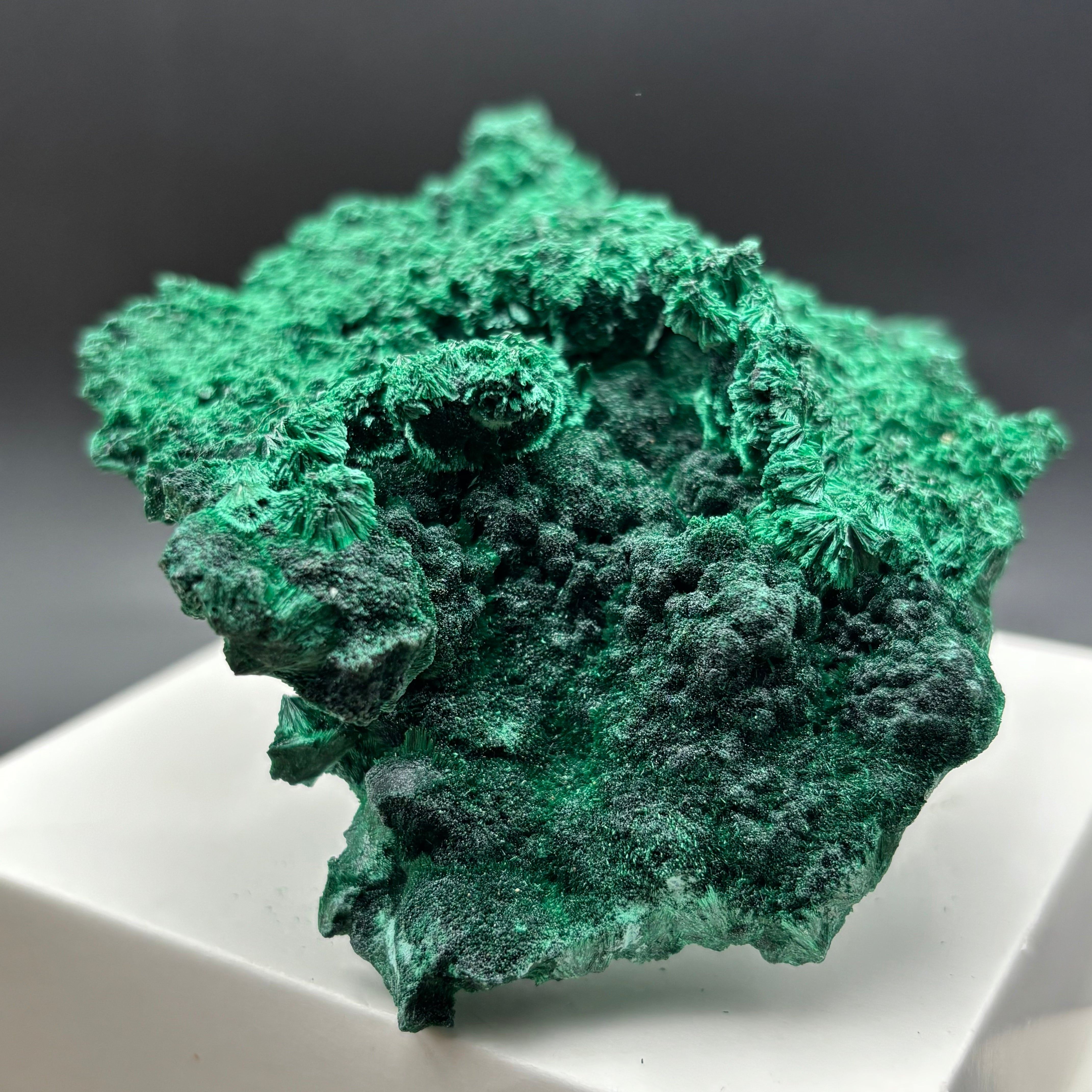 Emperor Malachite - 196