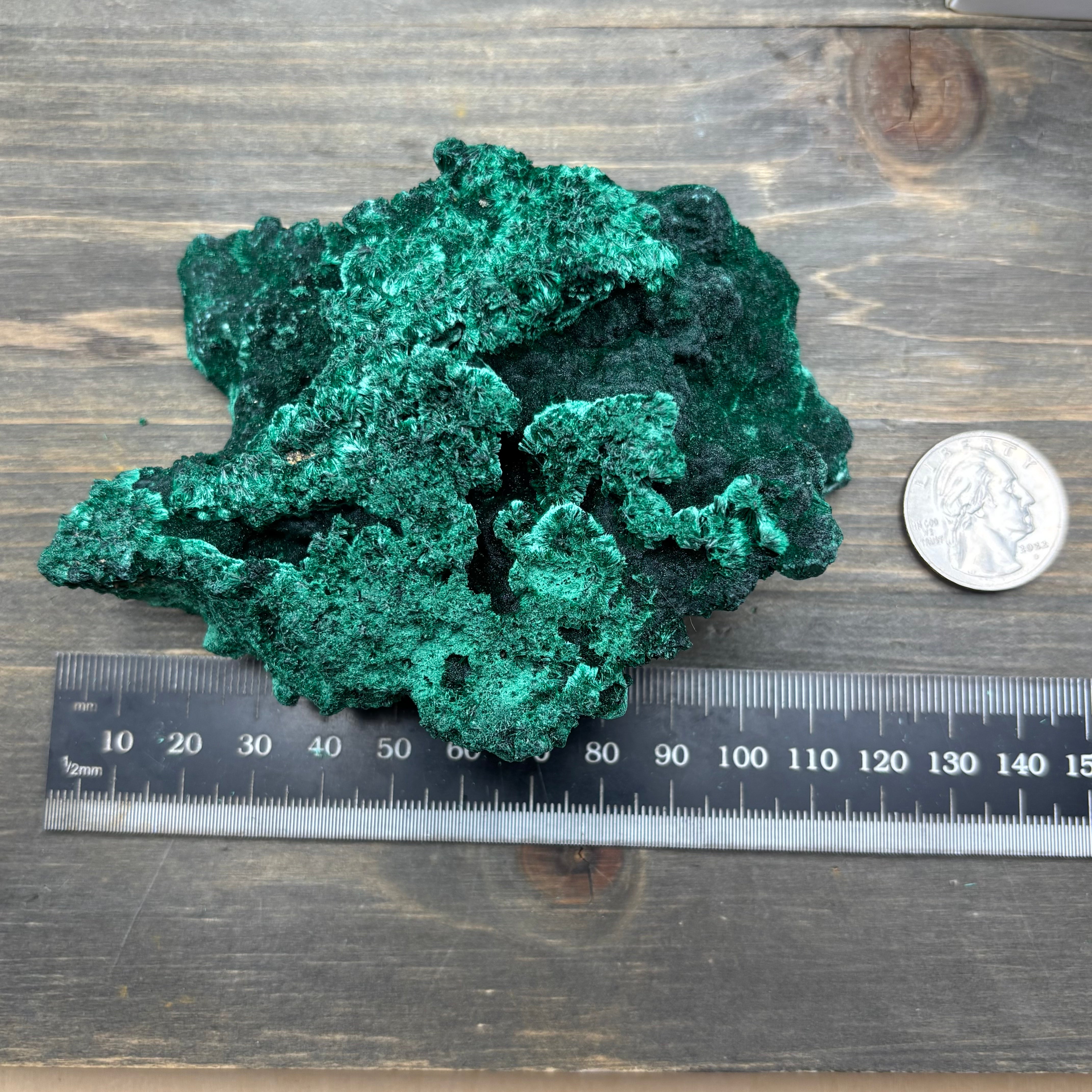 Emperor Malachite - 196