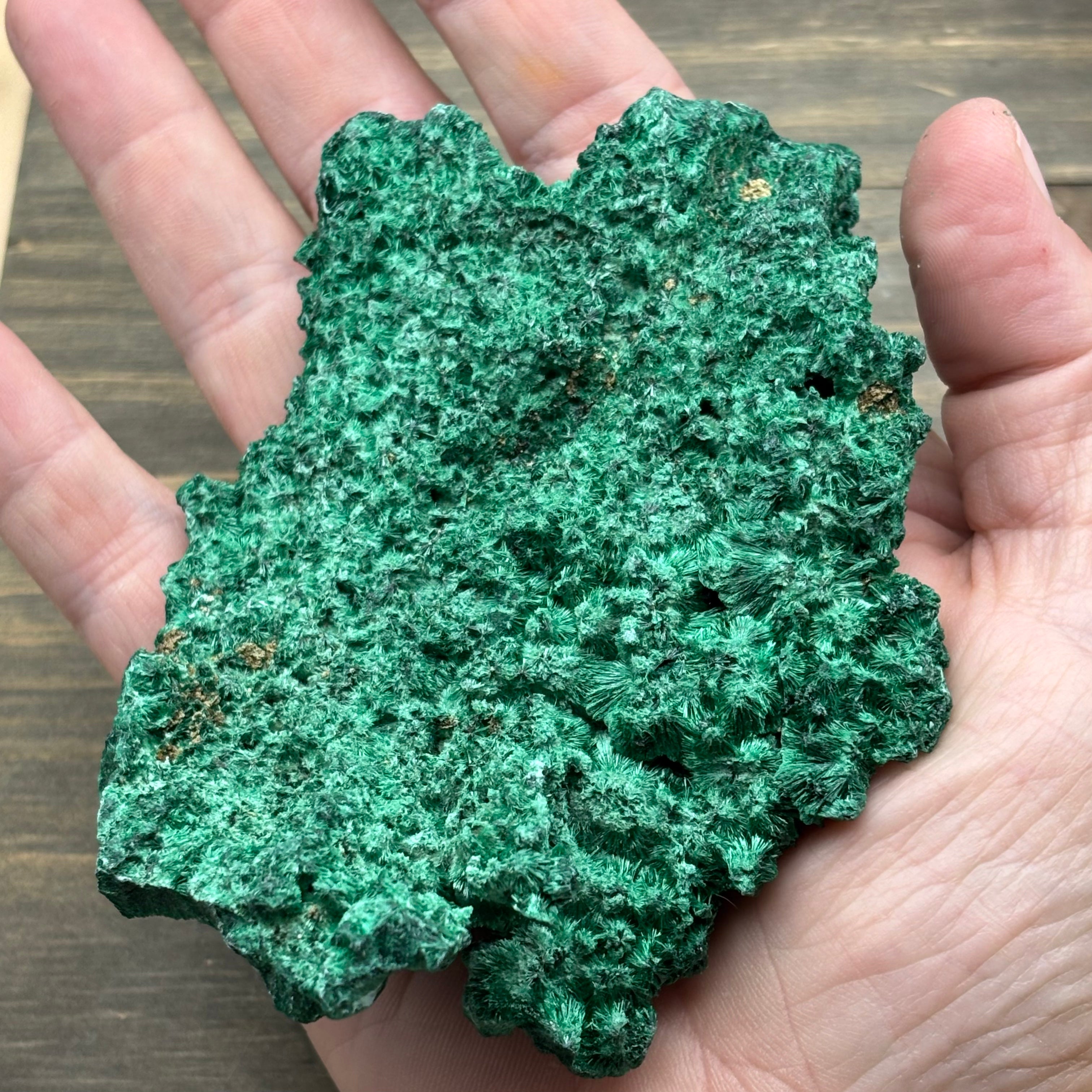 Emperor Malachite - 196